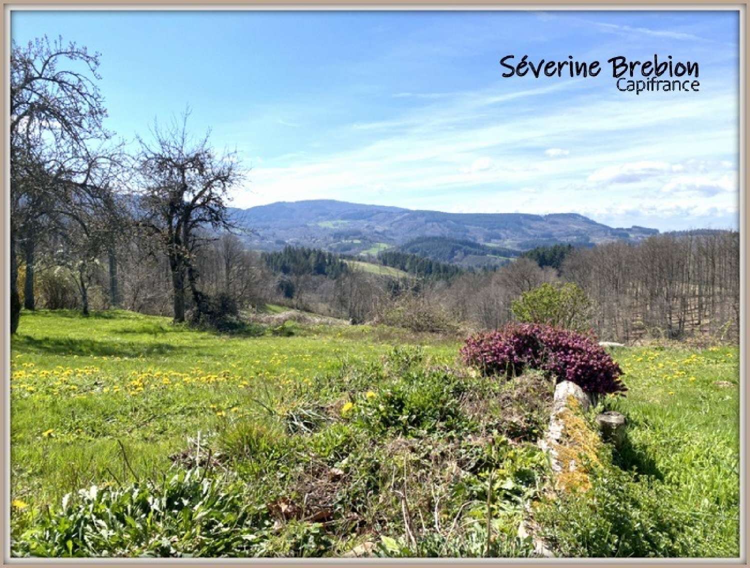  à vendre maison Chabreloche Puy-de-Dôme 4