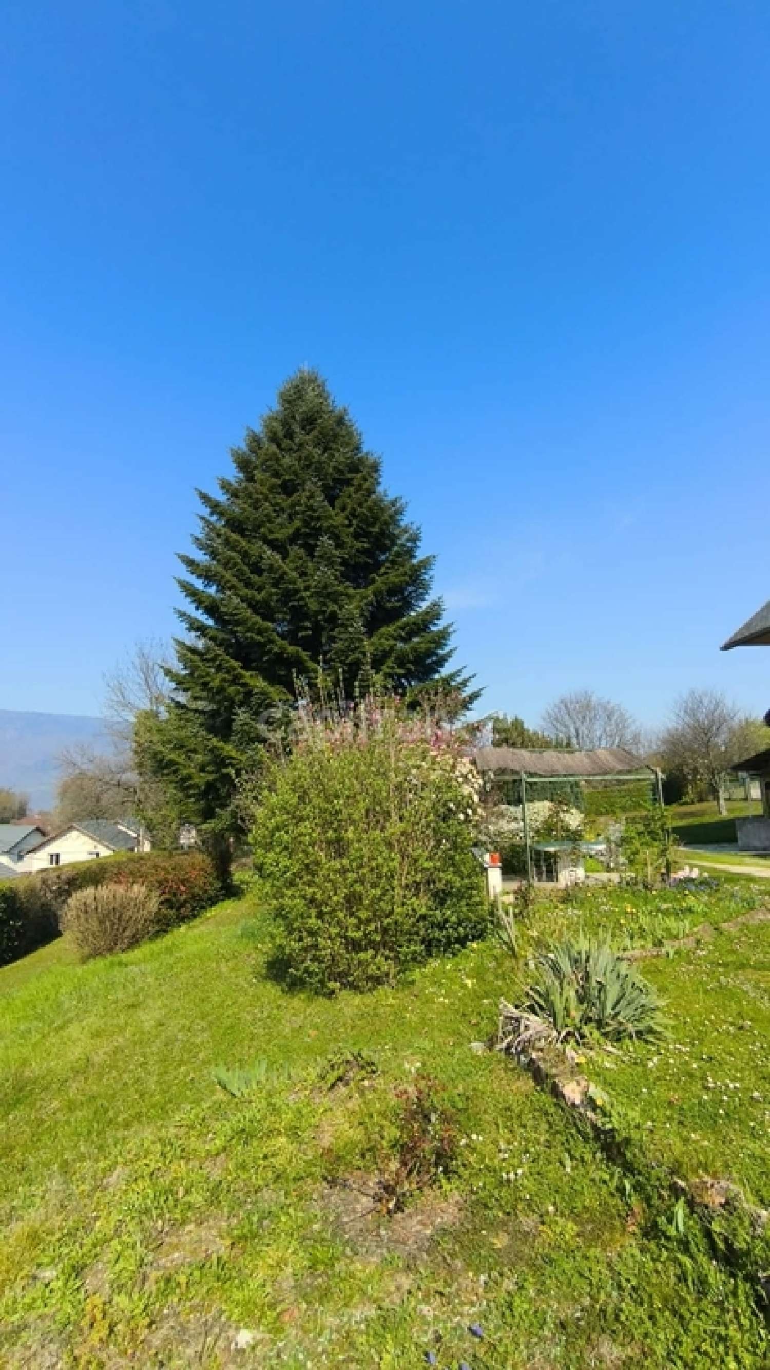  te koop huis Chambéry Savoie 5