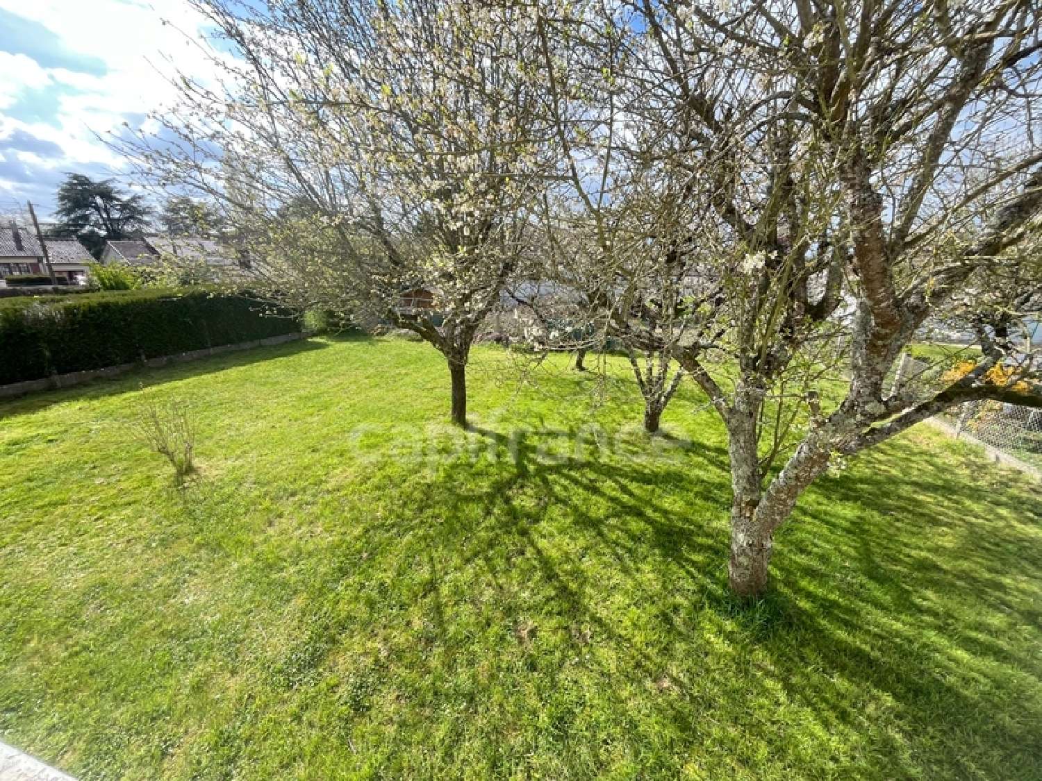 for sale house Champignelles Yonne 5