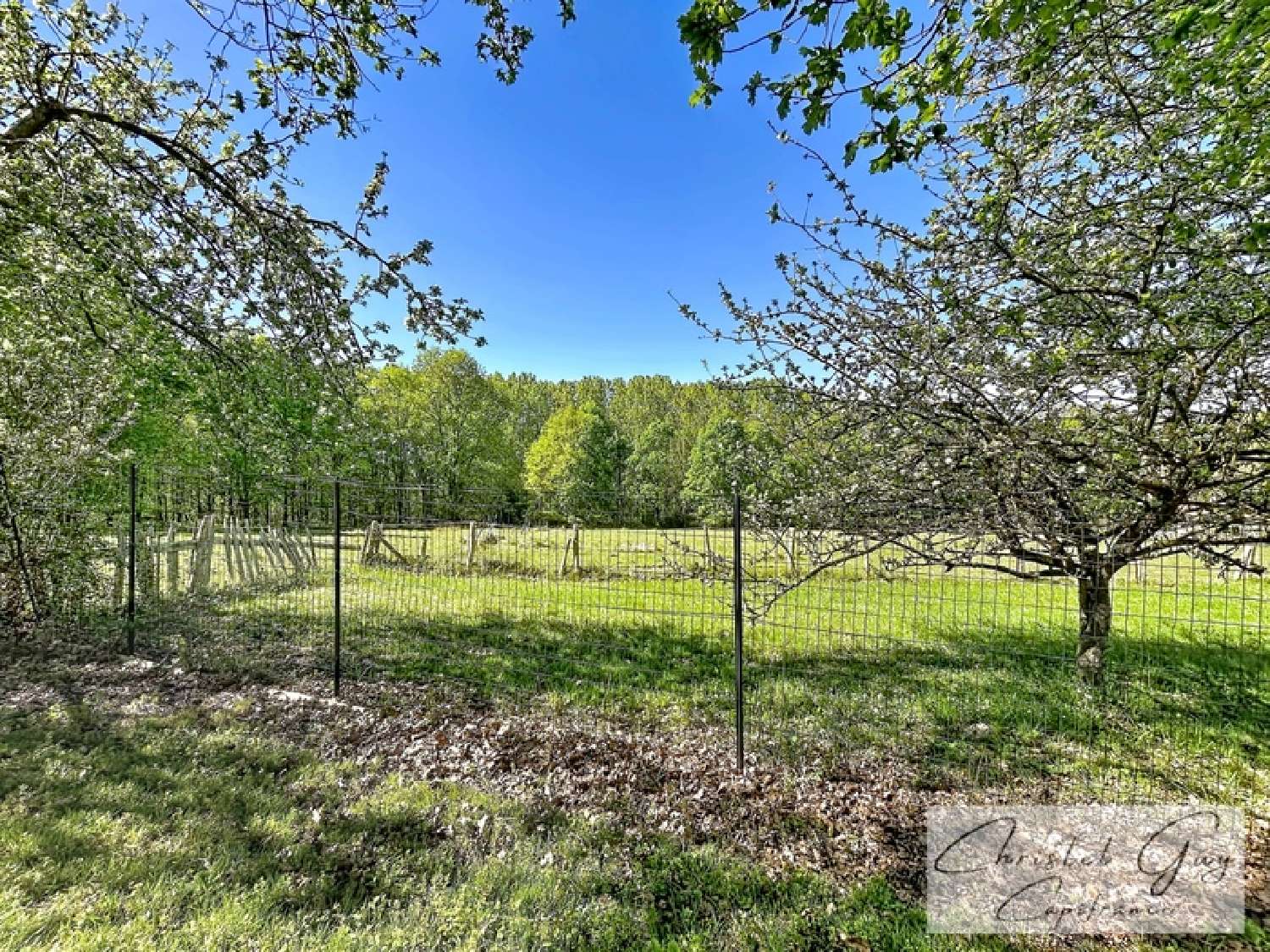  kaufen Haus Château-la-Vallière Indre-et-Loire 2