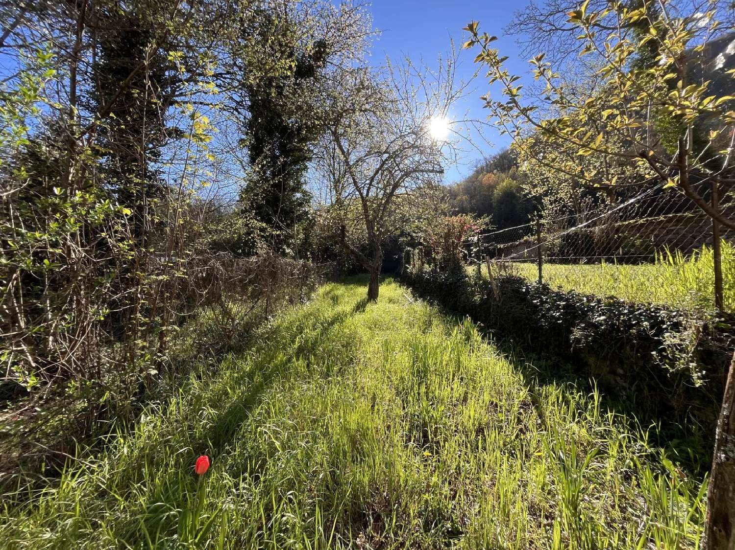 te koop huis Château-Verdun Ariège 4
