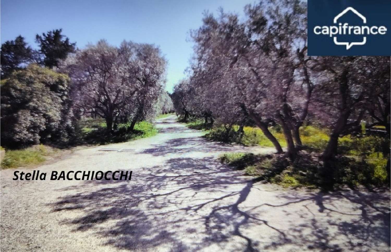  en venta casa Châteauneuf-de-Gadagne Vaucluse 3