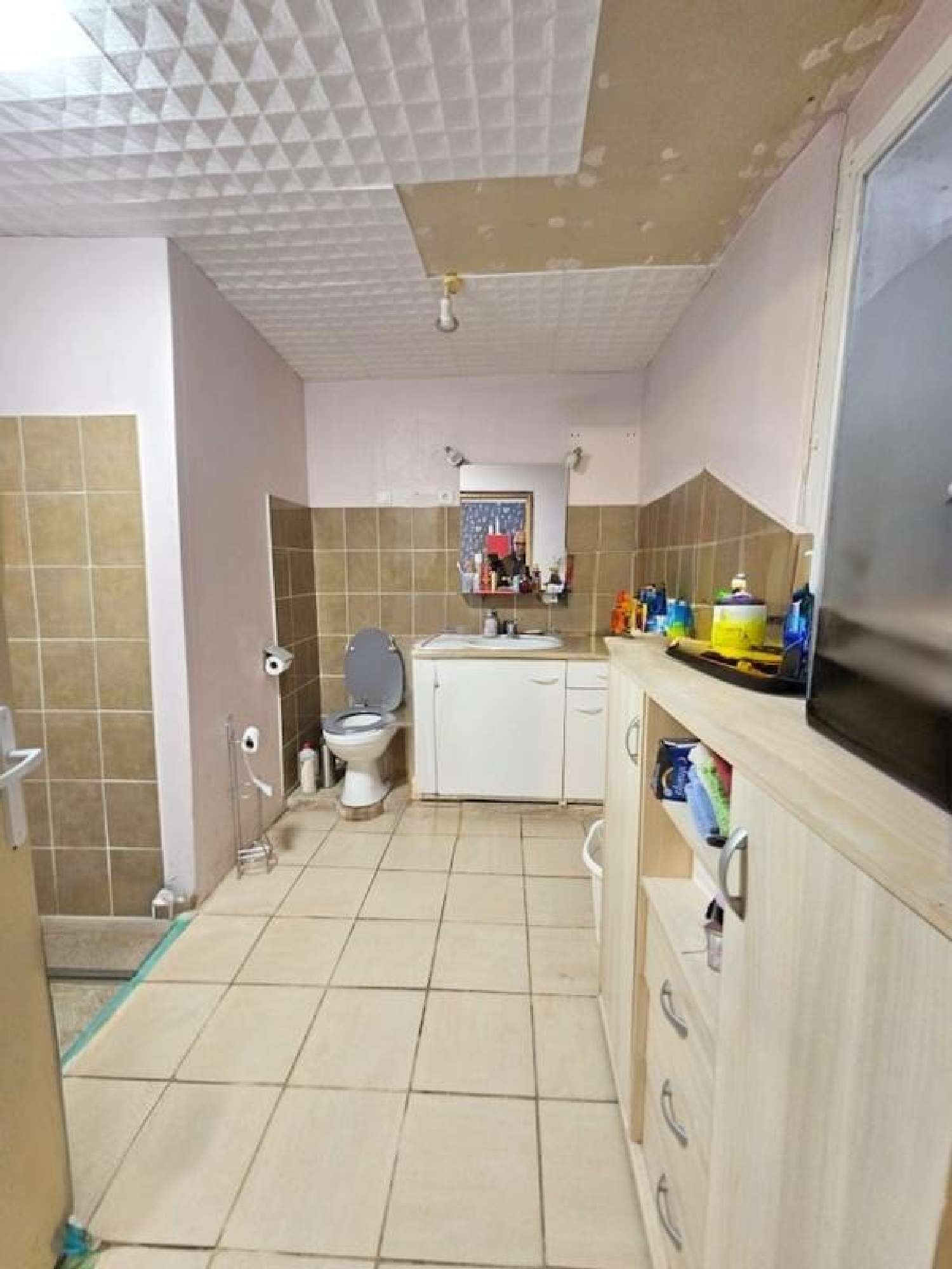  kaufen Haus Châtel-sur-Moselle Vogesen 5