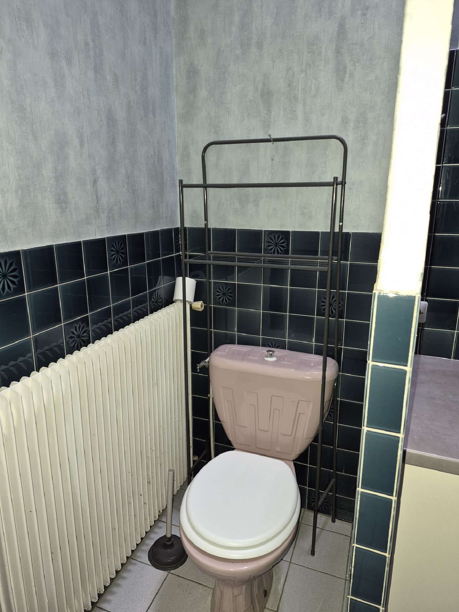  kaufen Haus Châtellerault Vienne 6