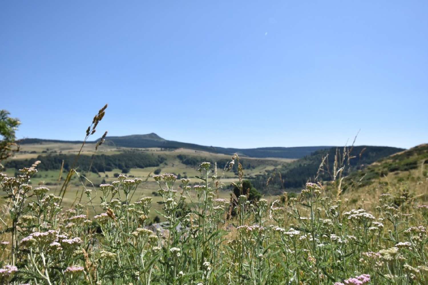  kaufen Haus Chaudeyrolles Haute-Loire 5