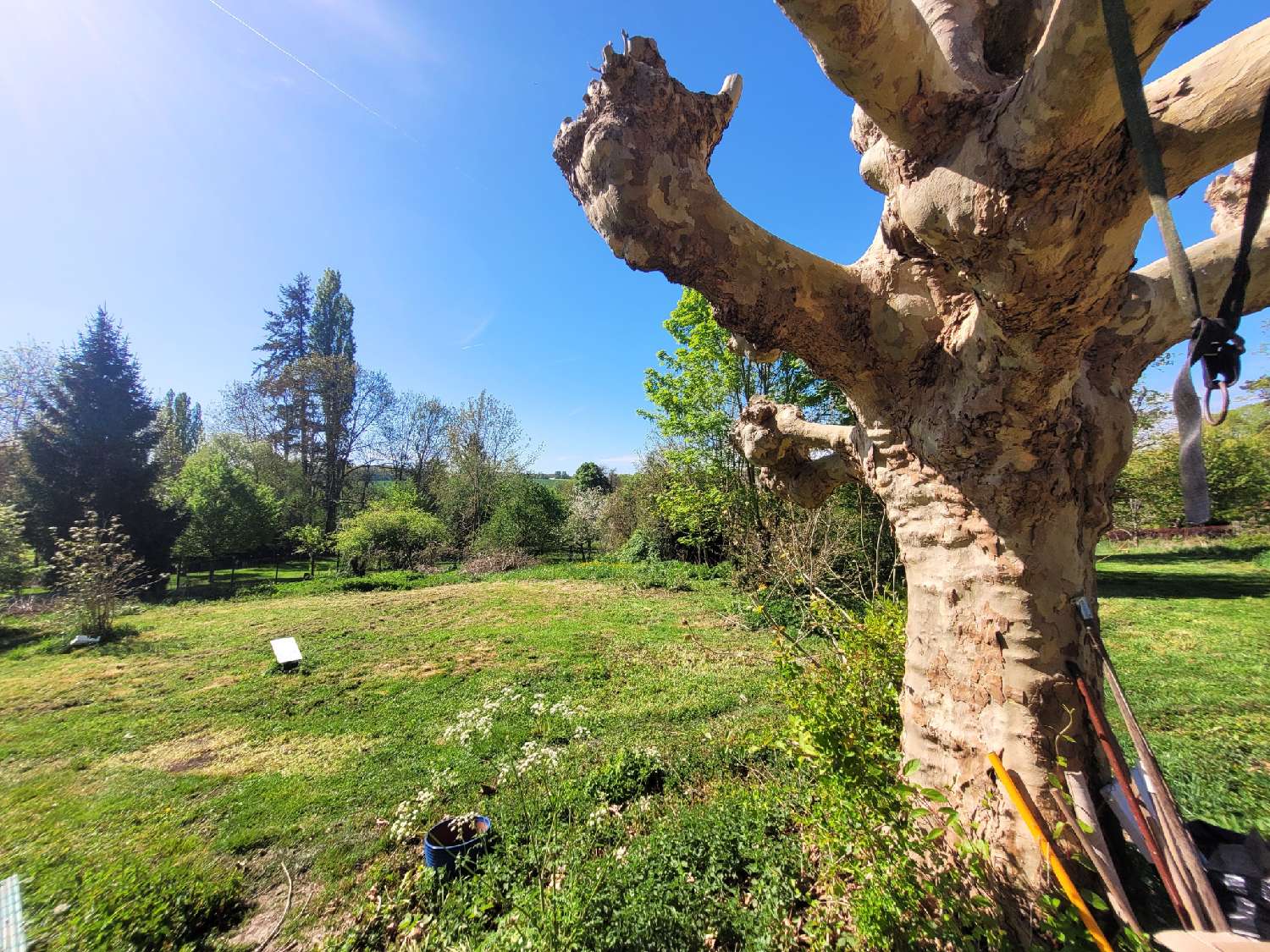  te koop huis Chaumes-en-Brie Seine-et-Marne 4