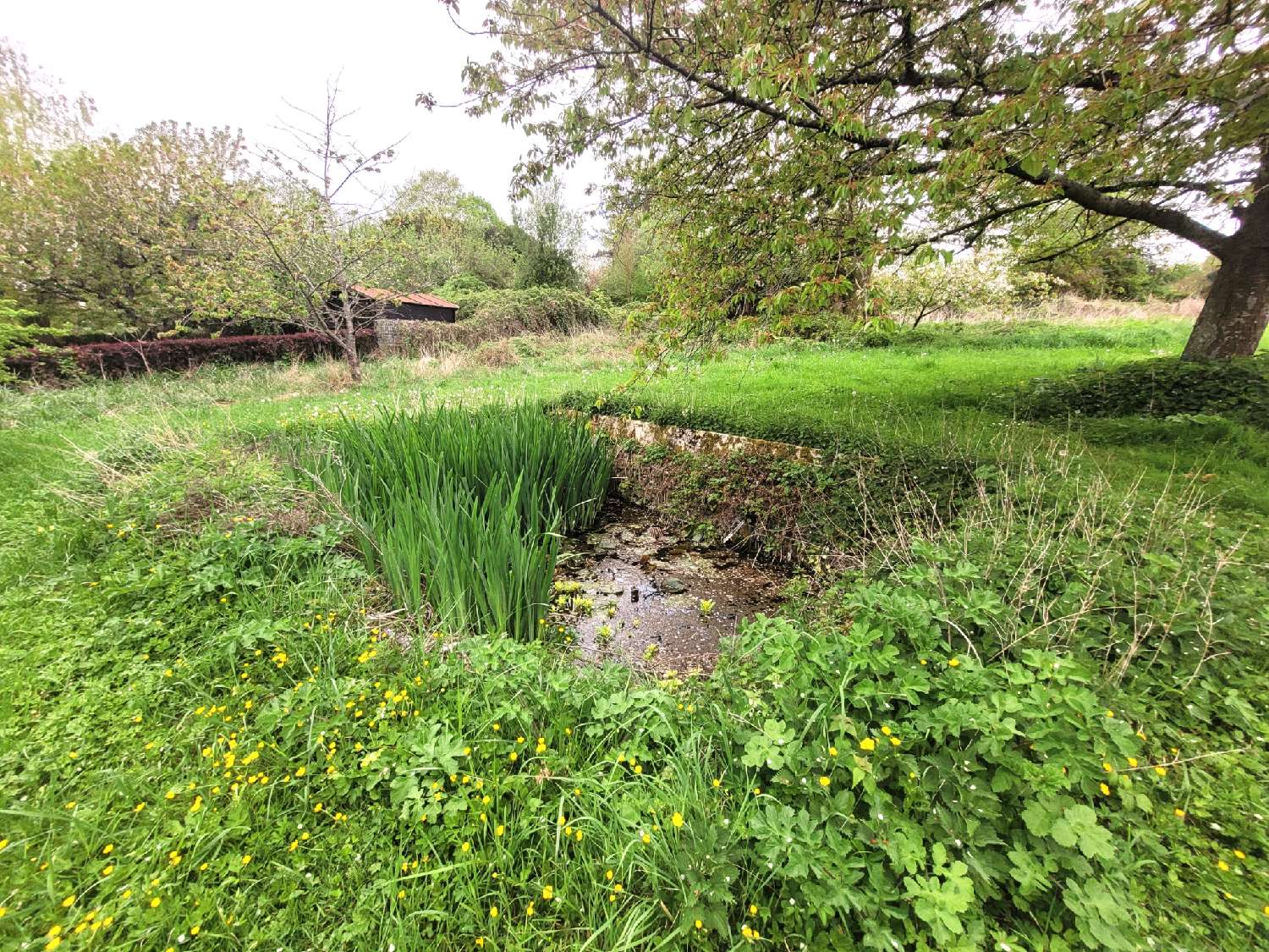  te koop huis Chaumes-en-Brie Seine-et-Marne 5