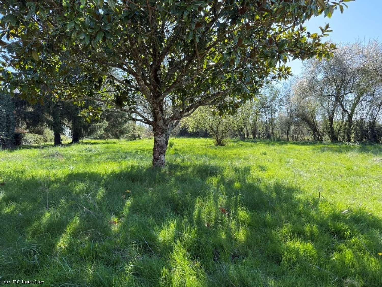  à vendre maison Civray Vienne 3