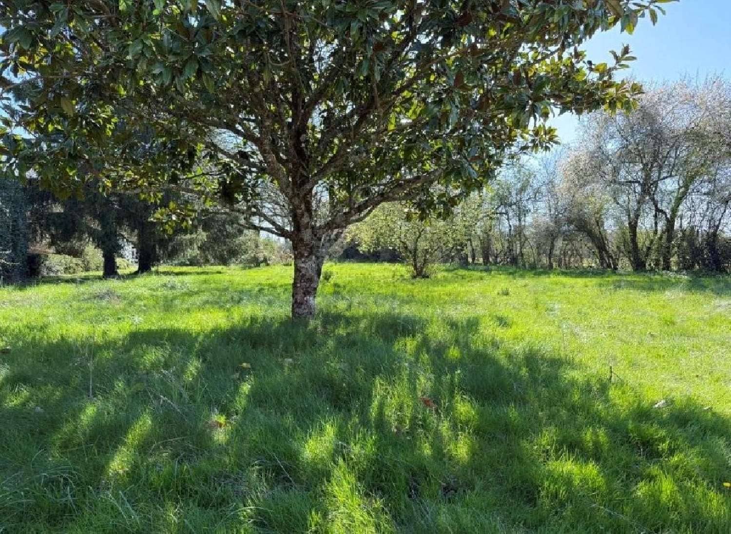  en venta casa Civray Vienne 3