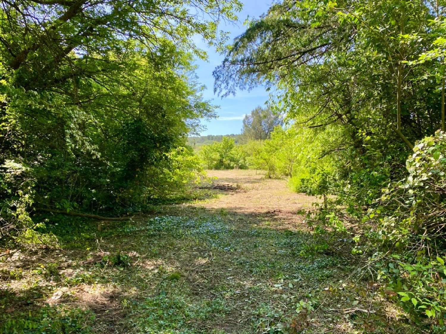  kaufen Haus Clapiers Hérault 1