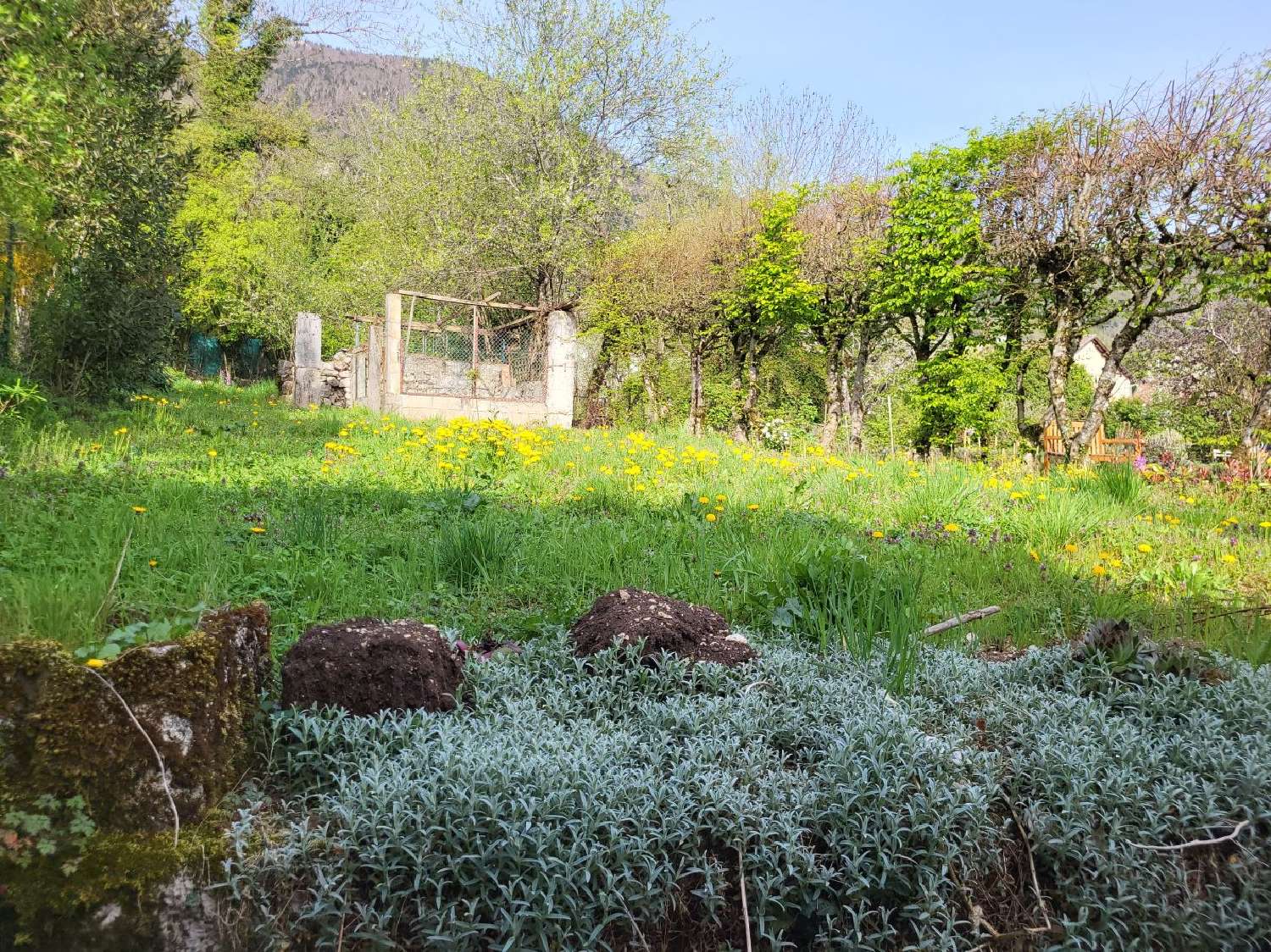  en venta casa Collonges Ain 4