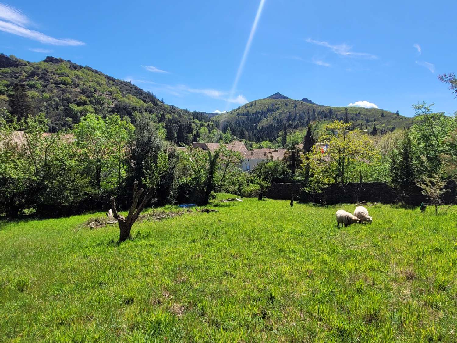  kaufen Haus Combes Hérault 4