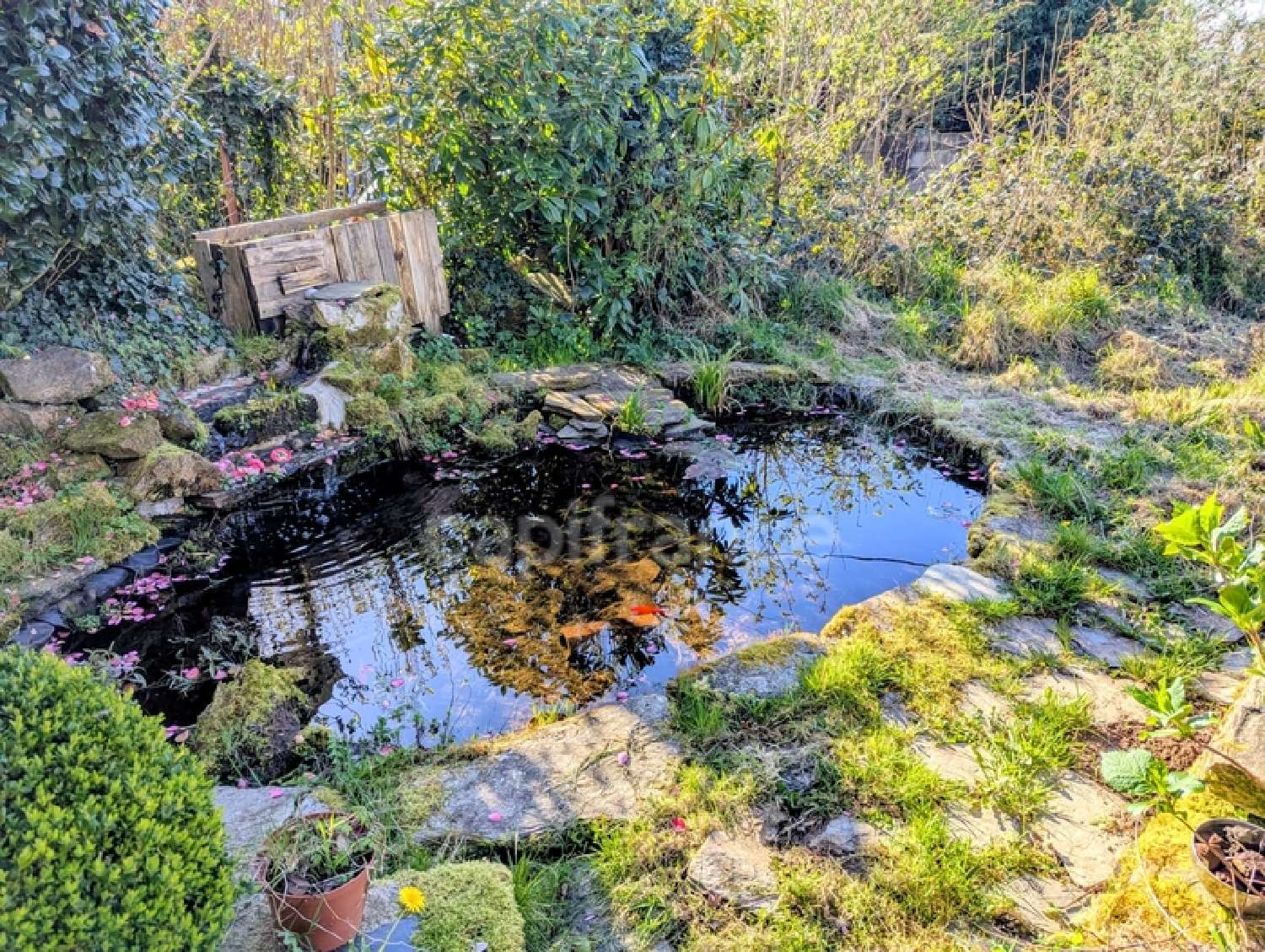  à vendre maison Coray Finistère 2