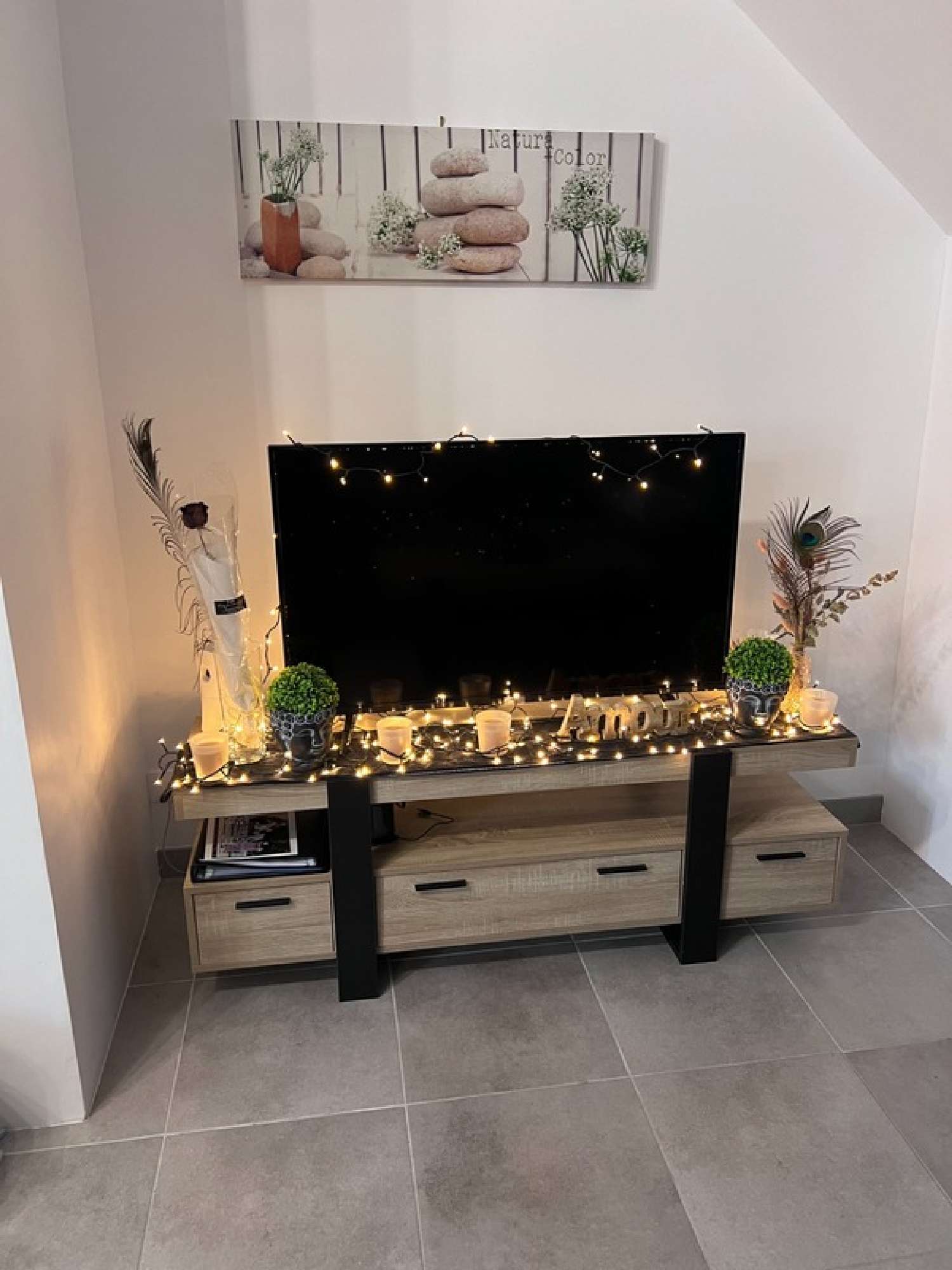  for sale house Corme-Royal Charente-Maritime 8