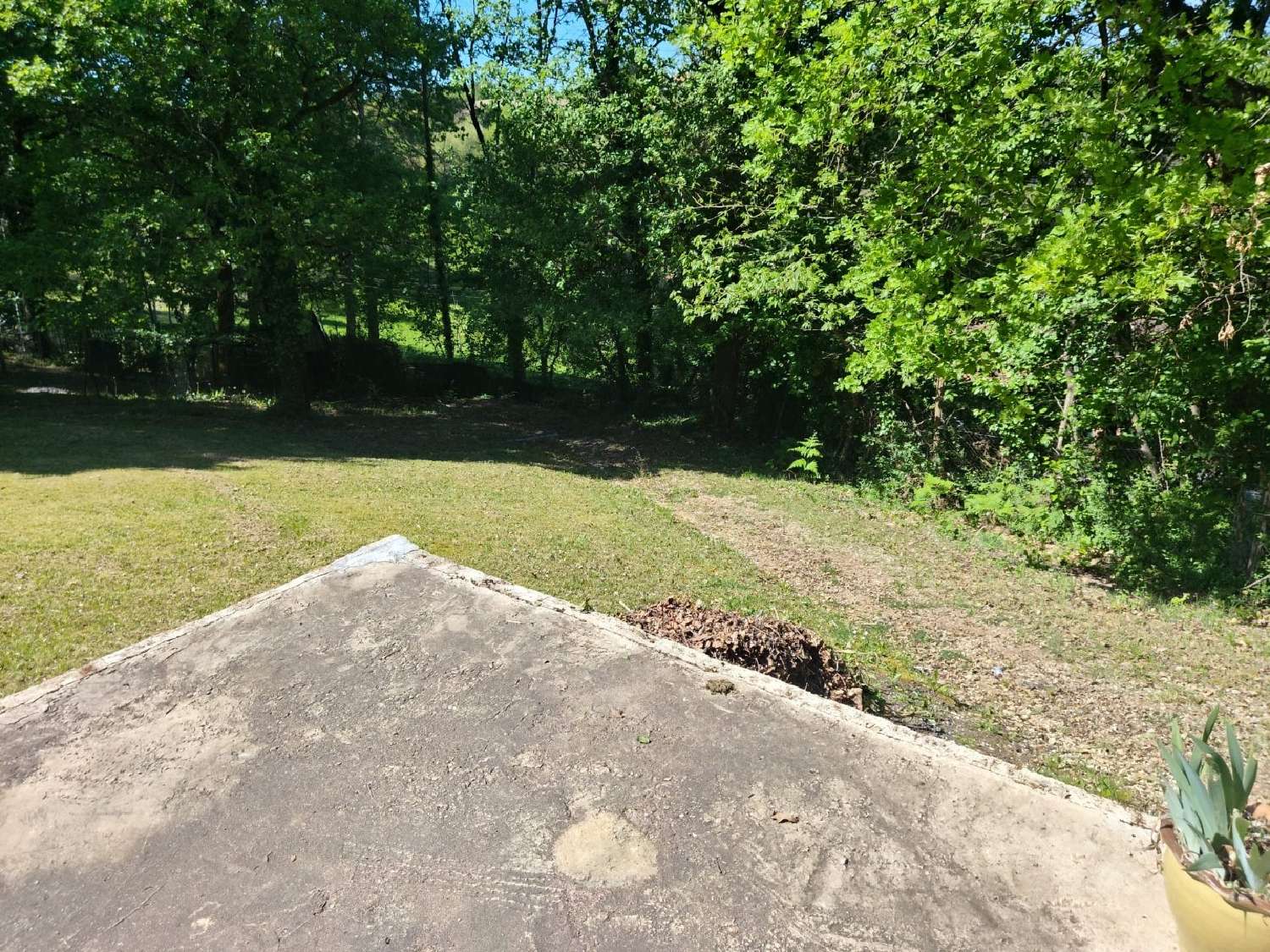  te koop huis Coursac Dordogne 3