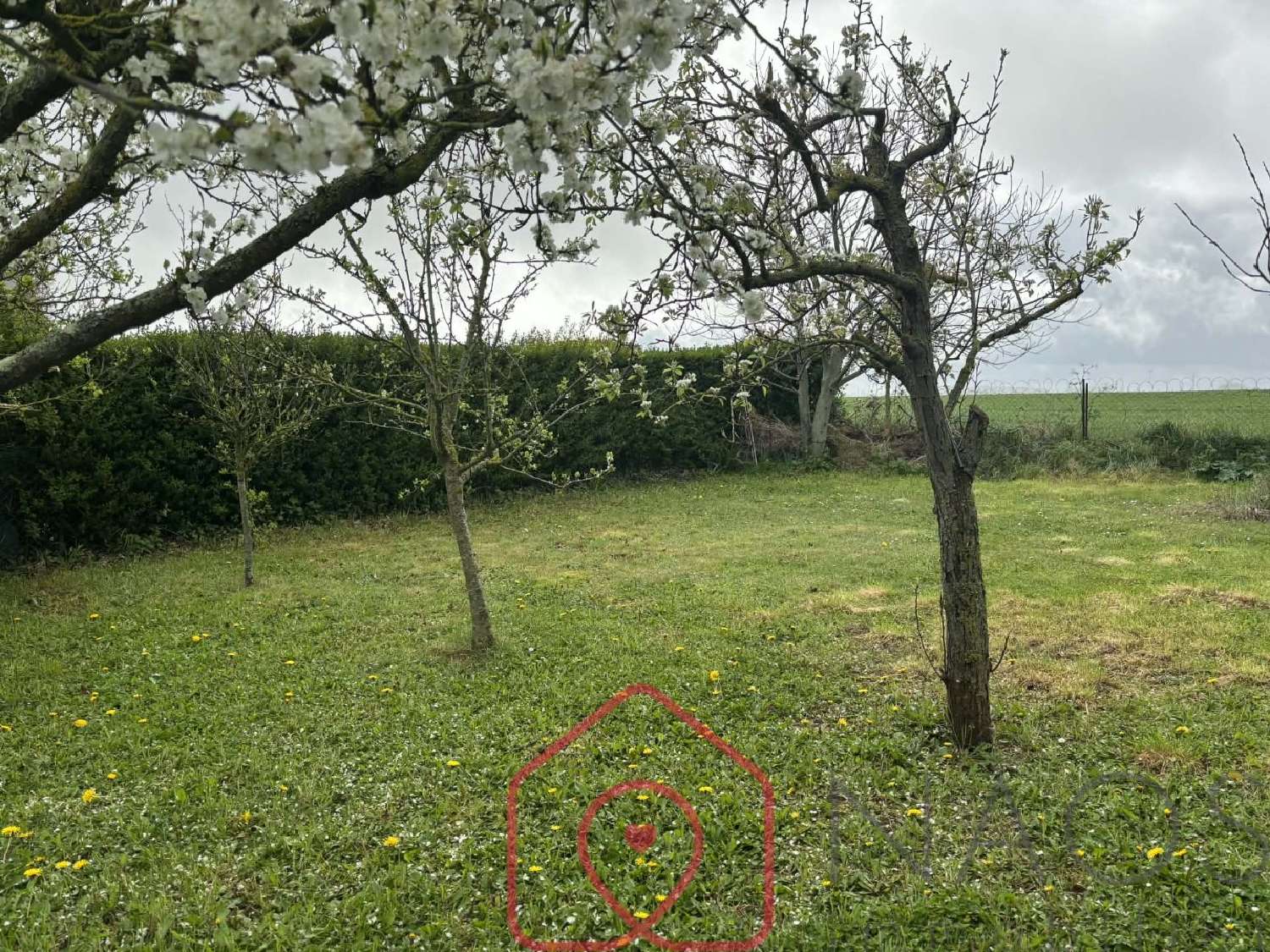  à vendre maison Criel-sur-Mer Seine-Maritime 8