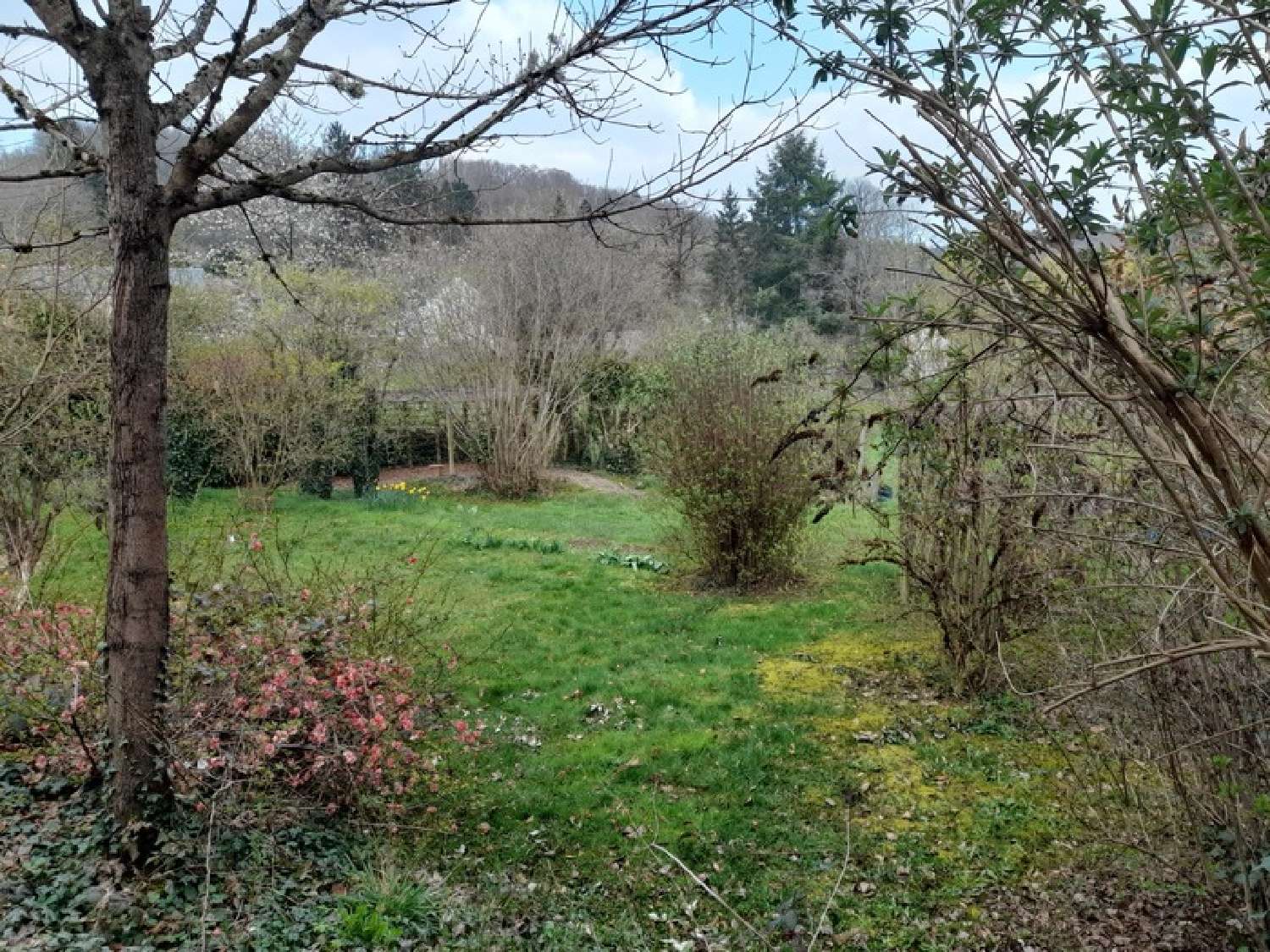  kaufen Haus Cussy-en-Morvan Saône-et-Loire 2