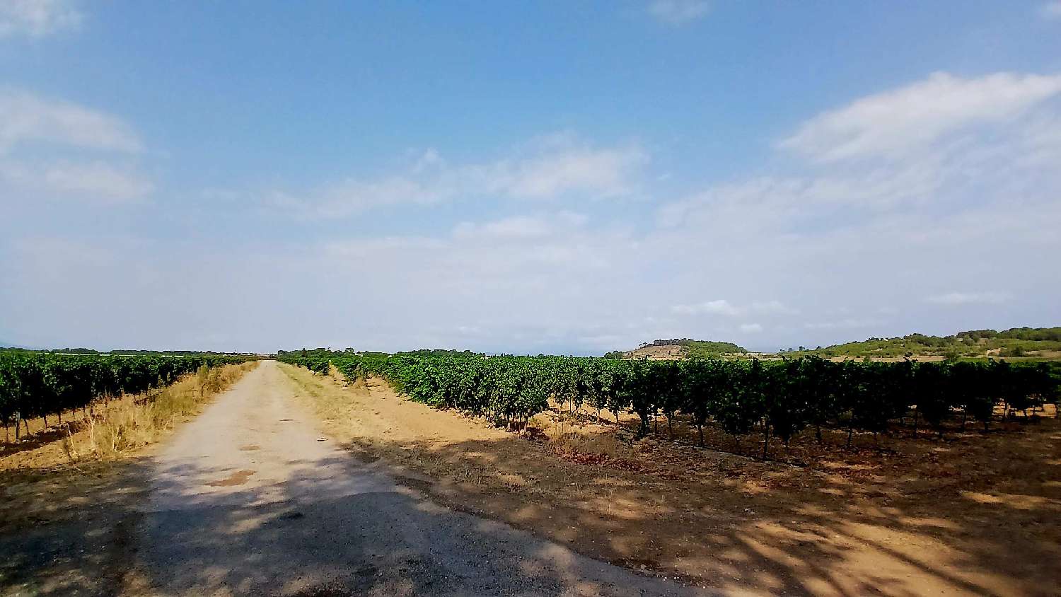  for sale house Cuxac-d'Aude Aude 7