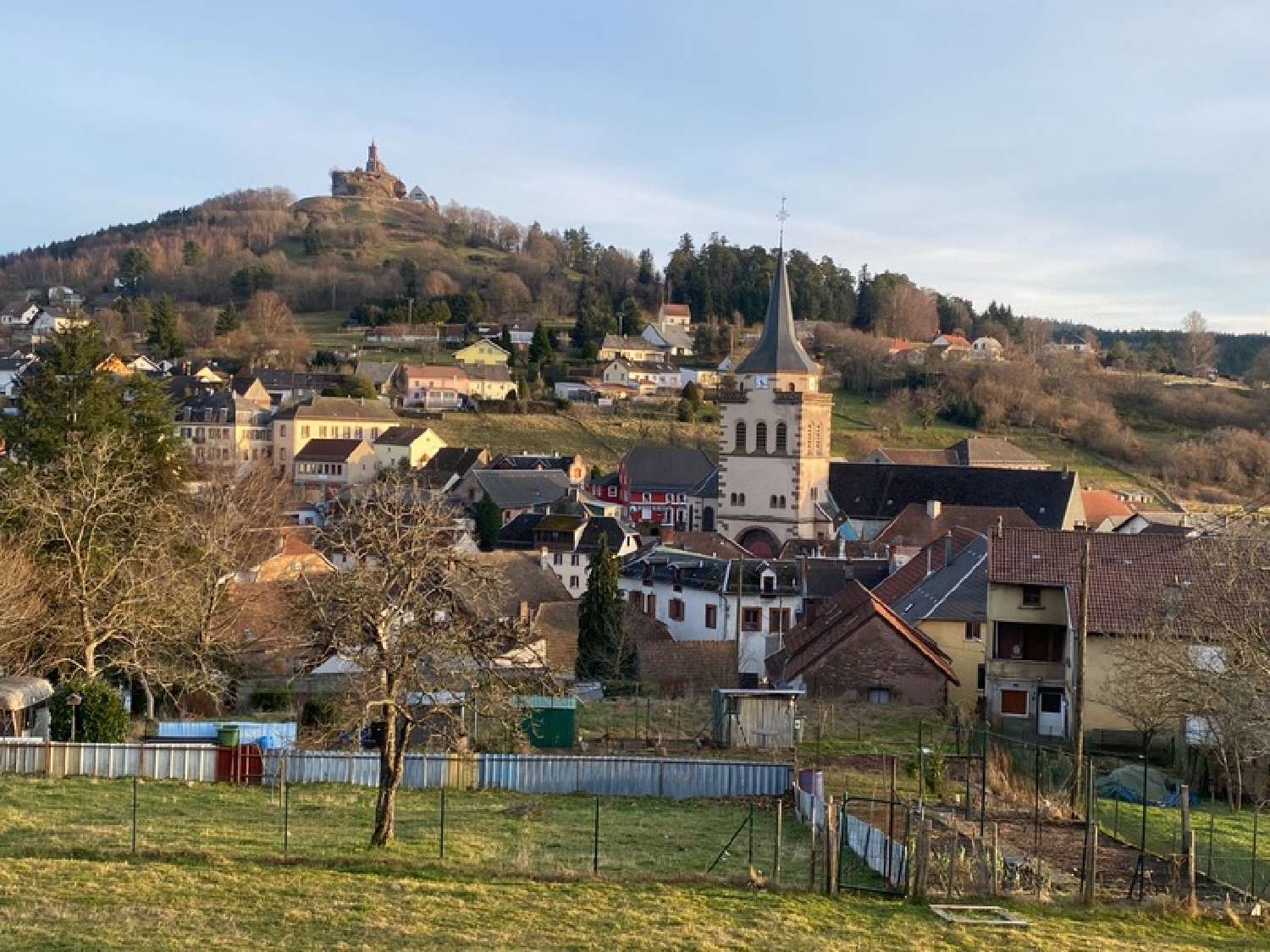  for sale house Dabo Moselle 1