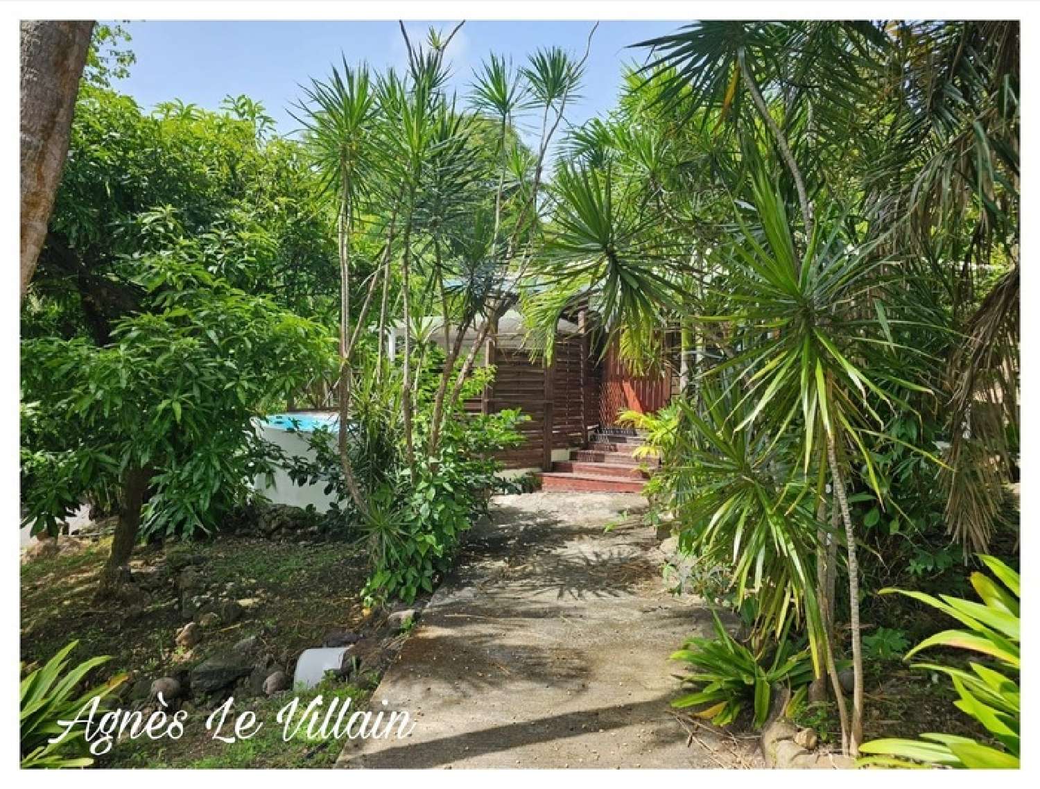 kaufen Haus Deshaies Guadeloupe 2