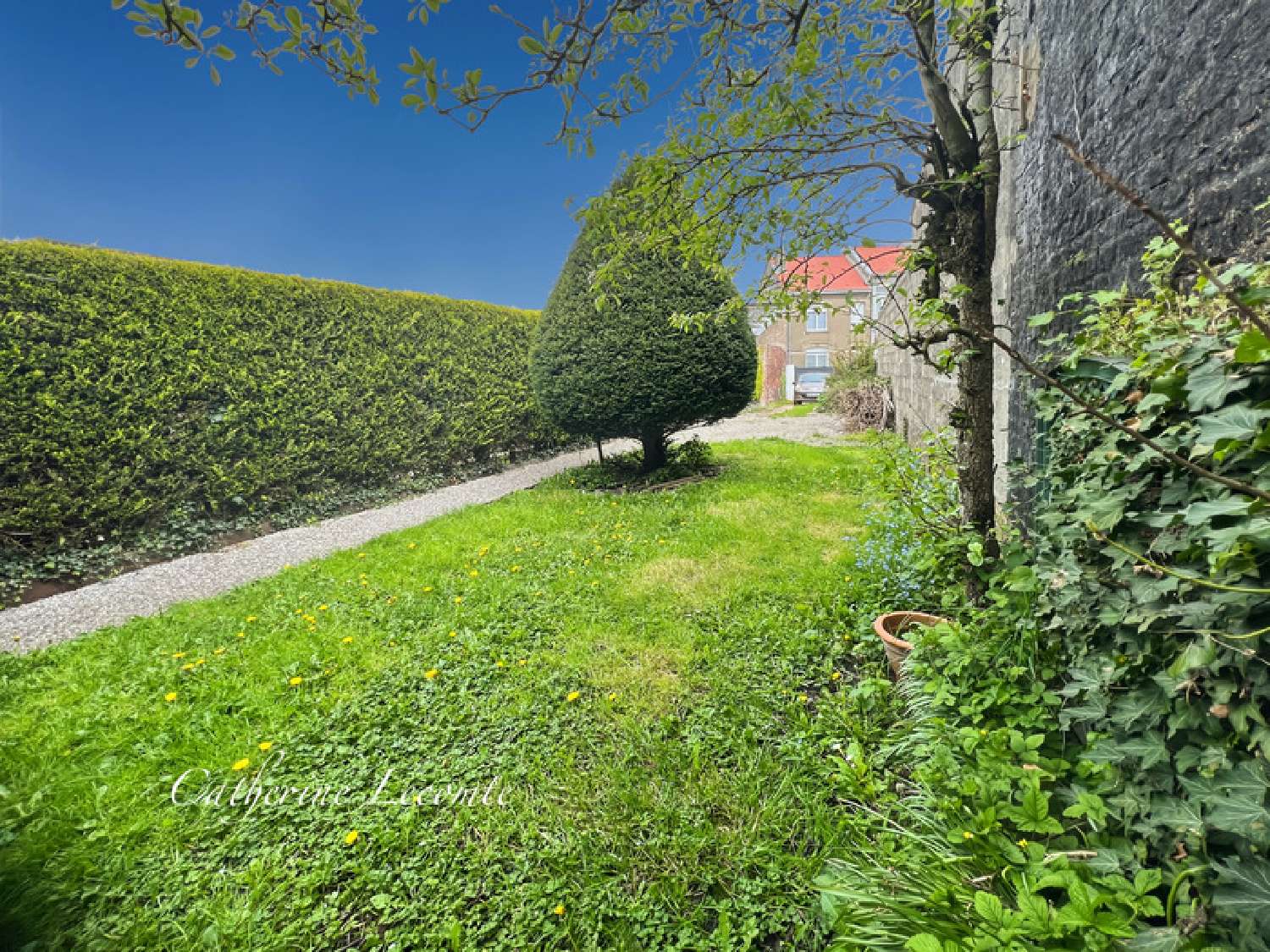  kaufen Haus Desvres Pas-de-Calais 1