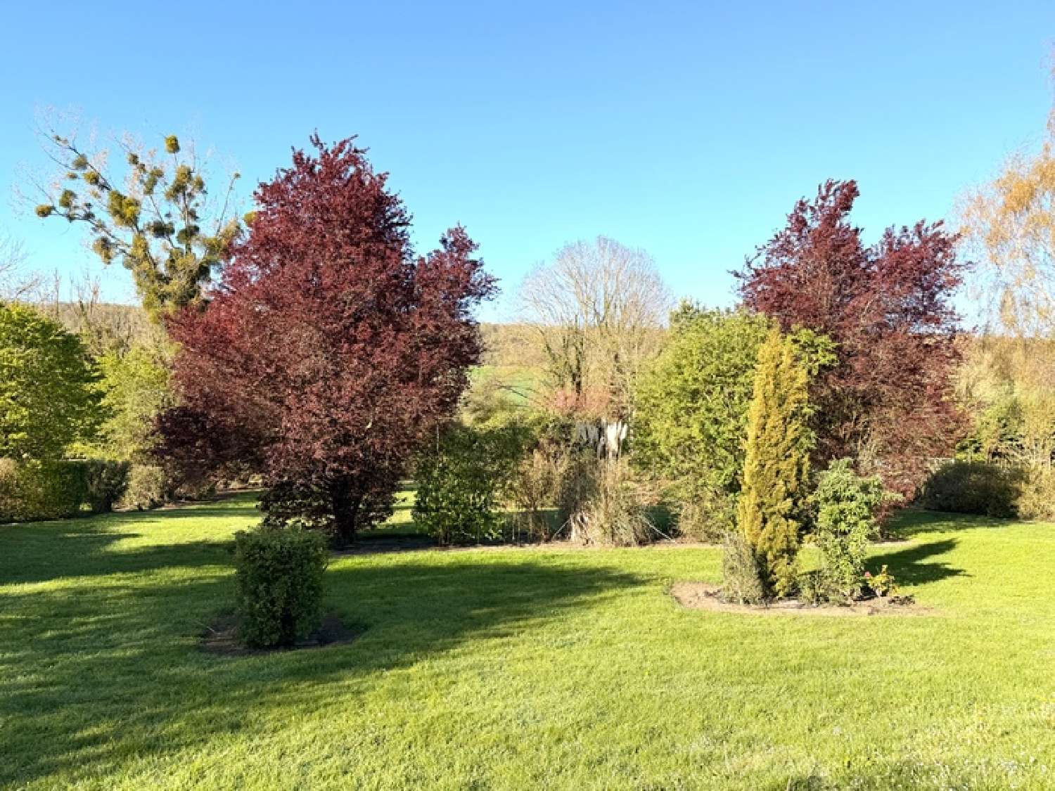  à vendre maison Dieppe Seine-Maritime 5