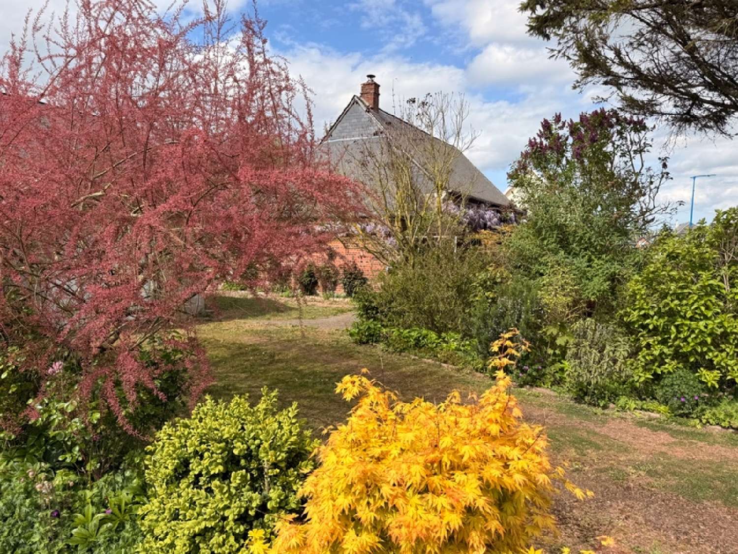  te koop huis Dieppe Seine-Maritime 3