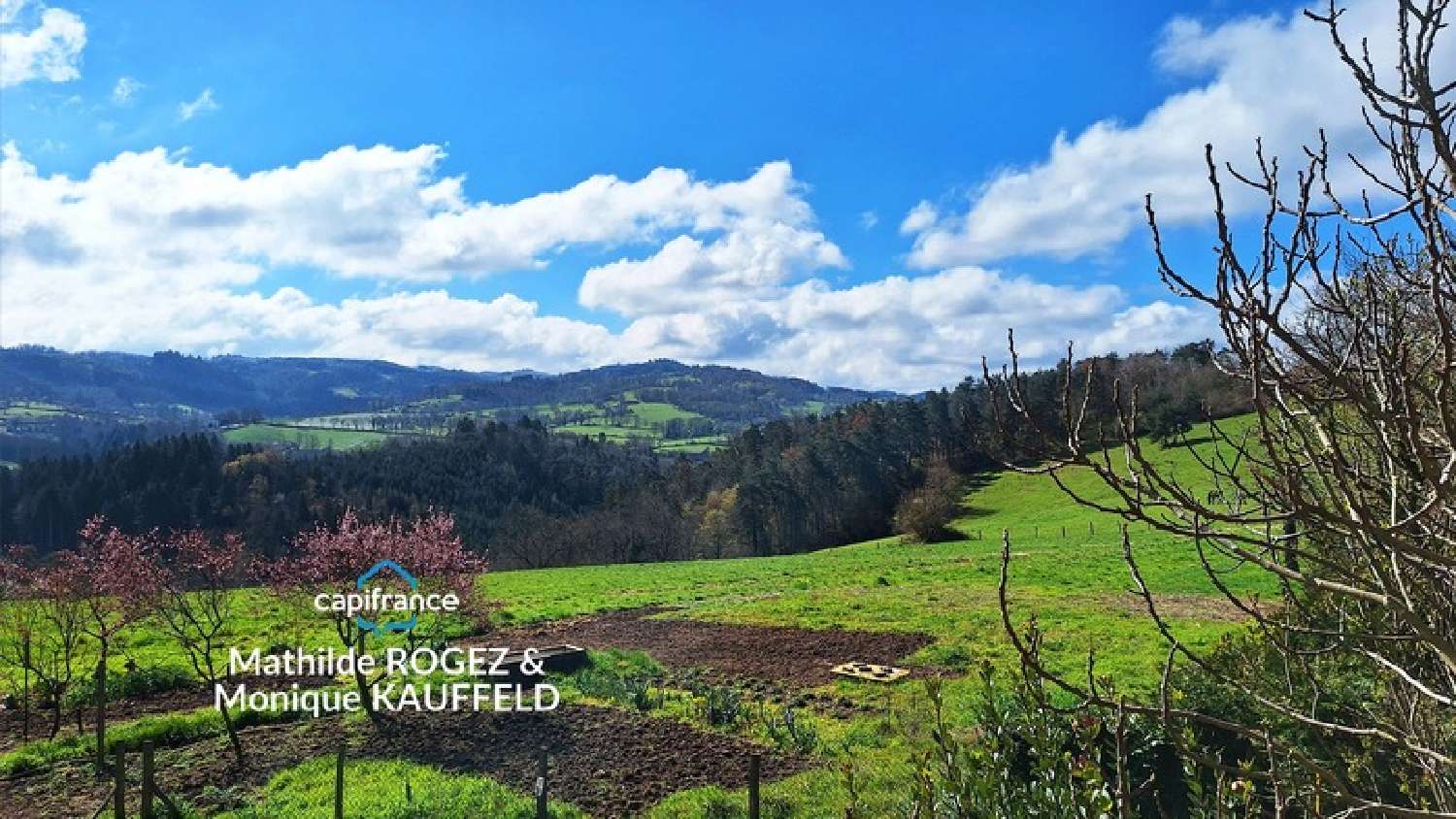  for sale house Domaize Puy-de-Dôme 2