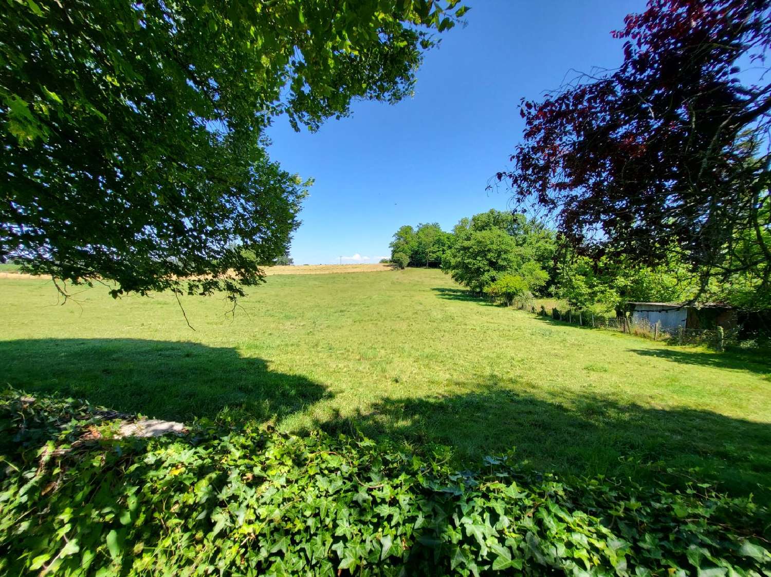  kaufen Haus Dompierre-sur-Veyle Ain 2