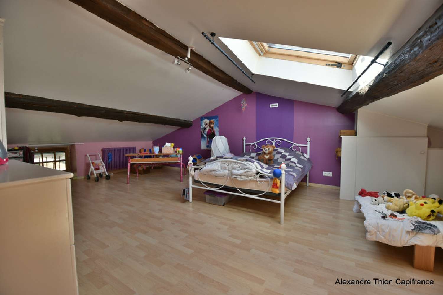 kaufen Haus Druillat Ain 7