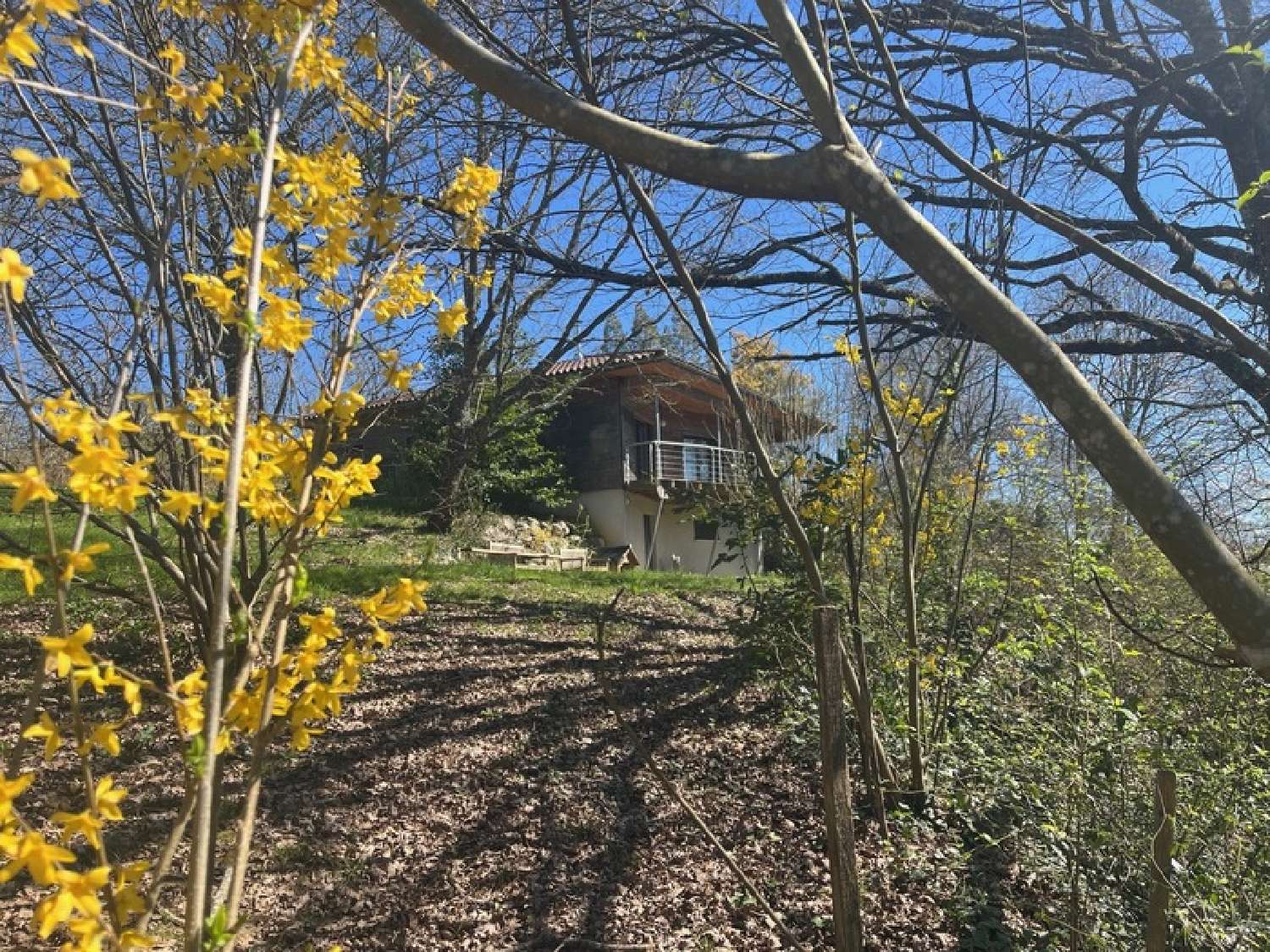  kaufen Haus Eauze Gers 1