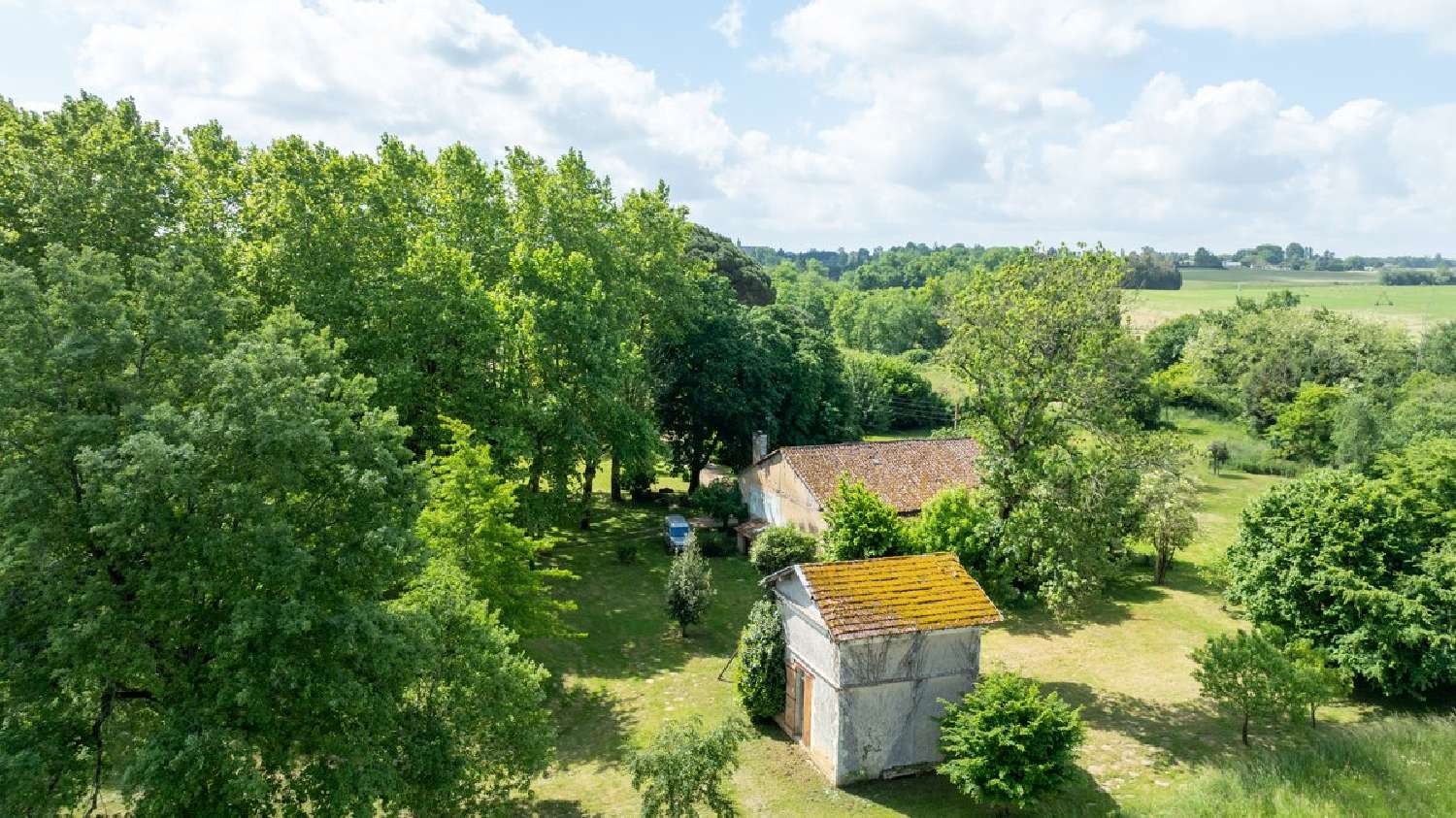 for sale house Eauze Gers 4