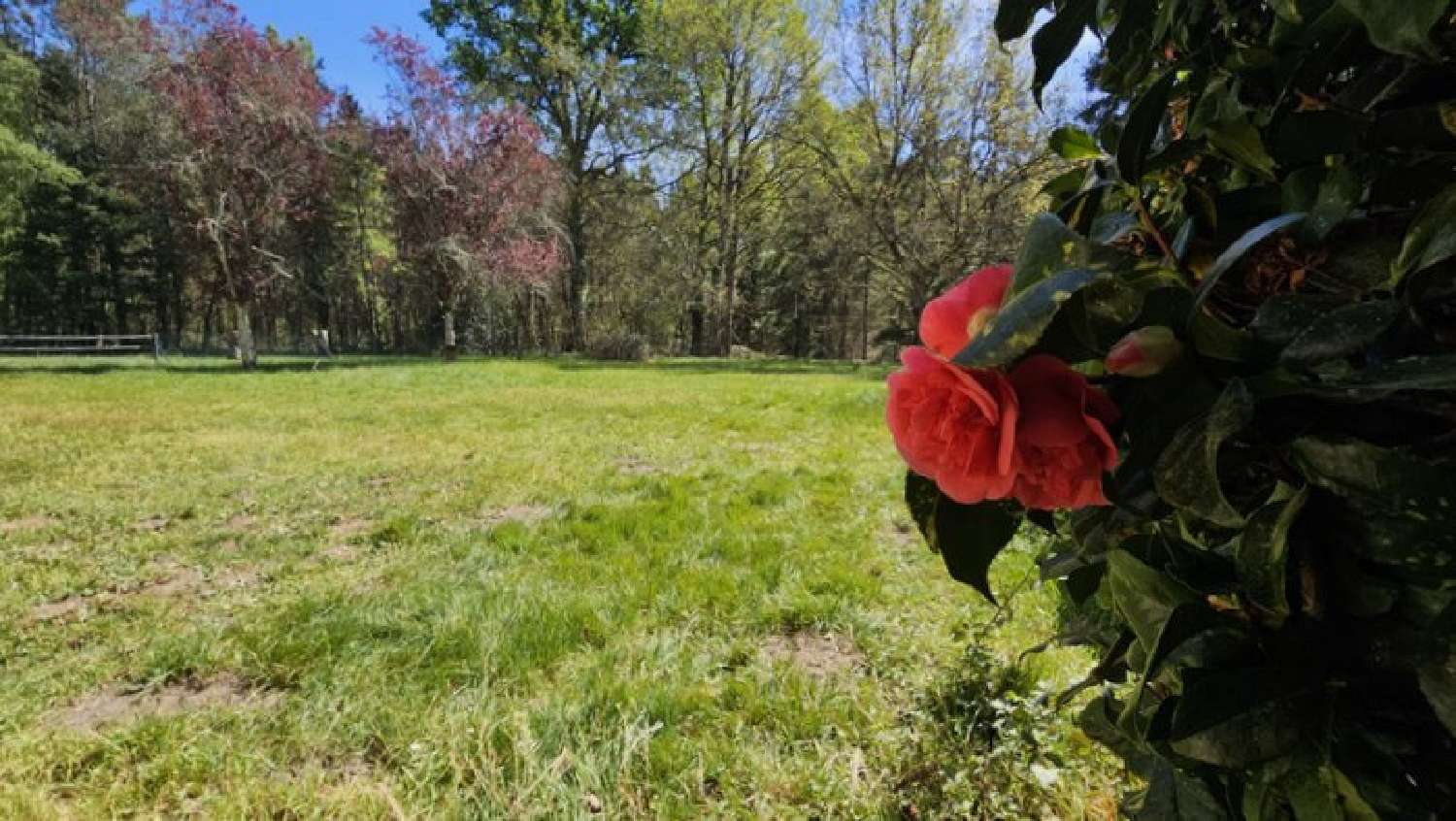  for sale house Écommoy Sarthe 5