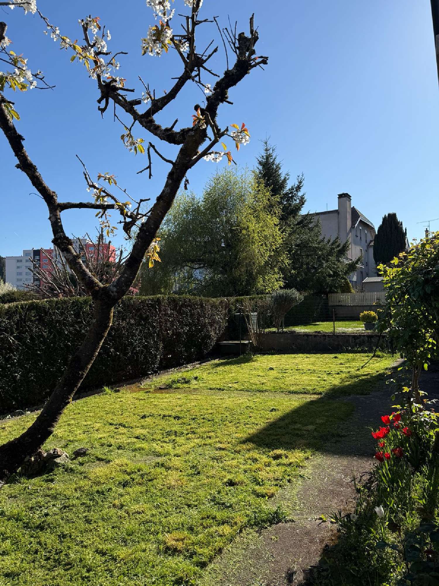  en venta casa Épinal Vosgos 3