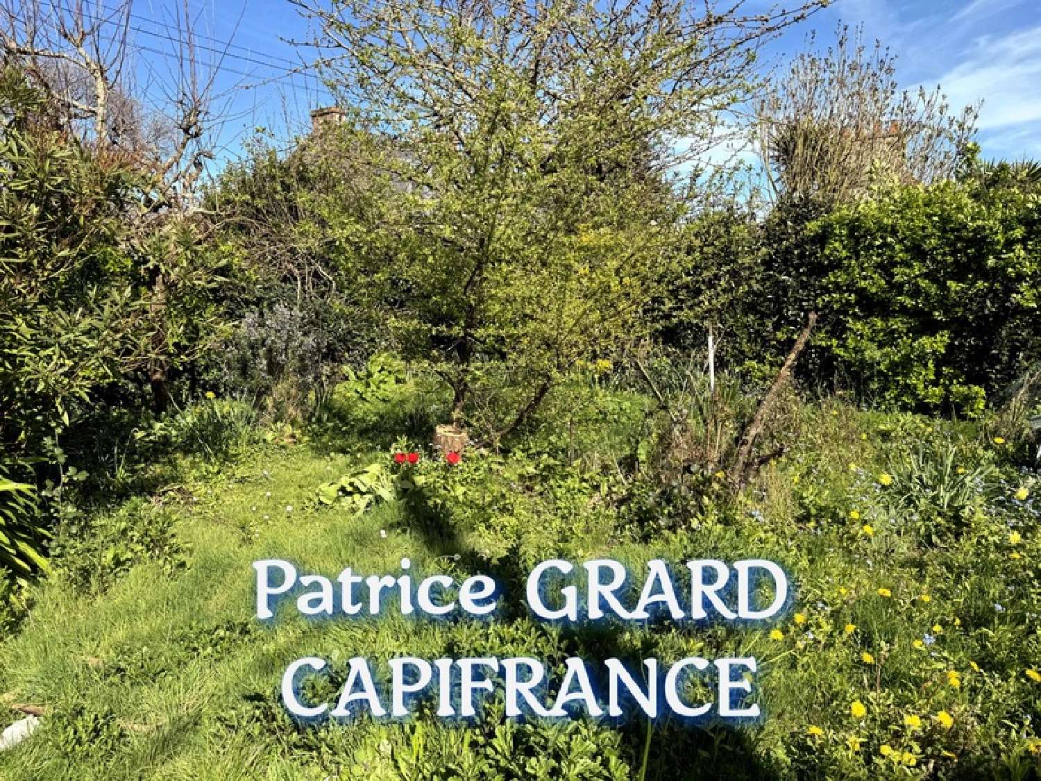  kaufen Haus Équeurdreville-Hainneville Manche 2