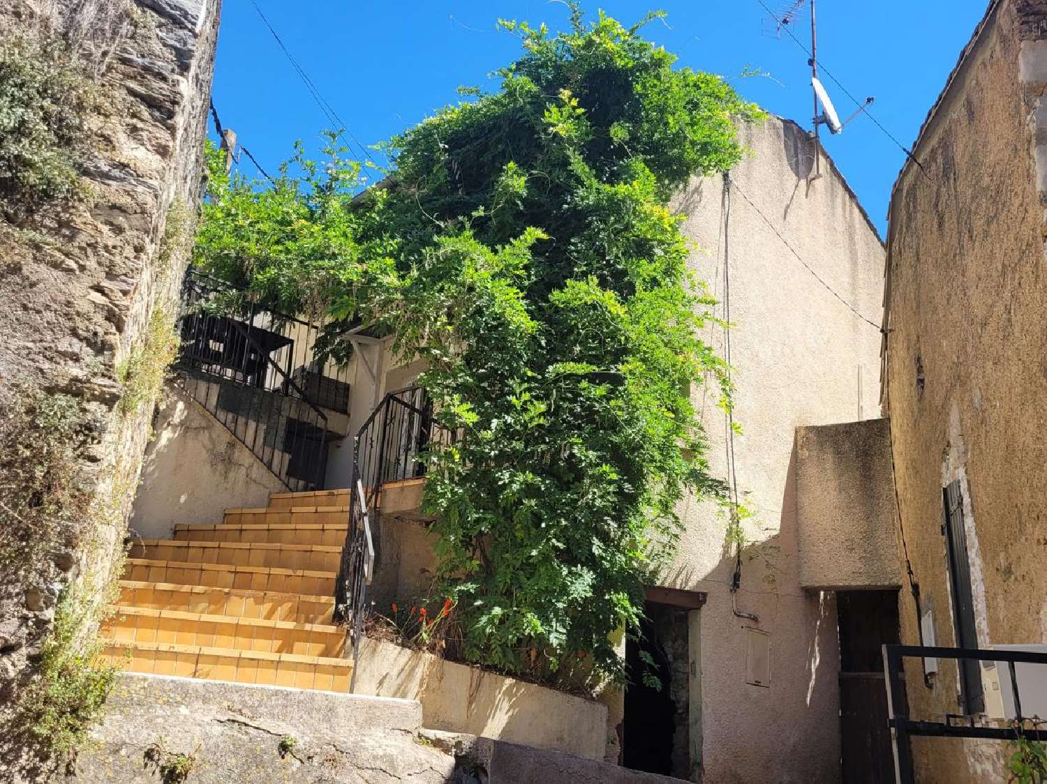  en venta casa Faugères Hérault 4