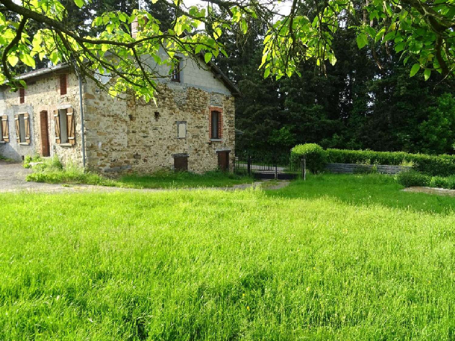  te koop huis Flavignac Haute-Vienne 2