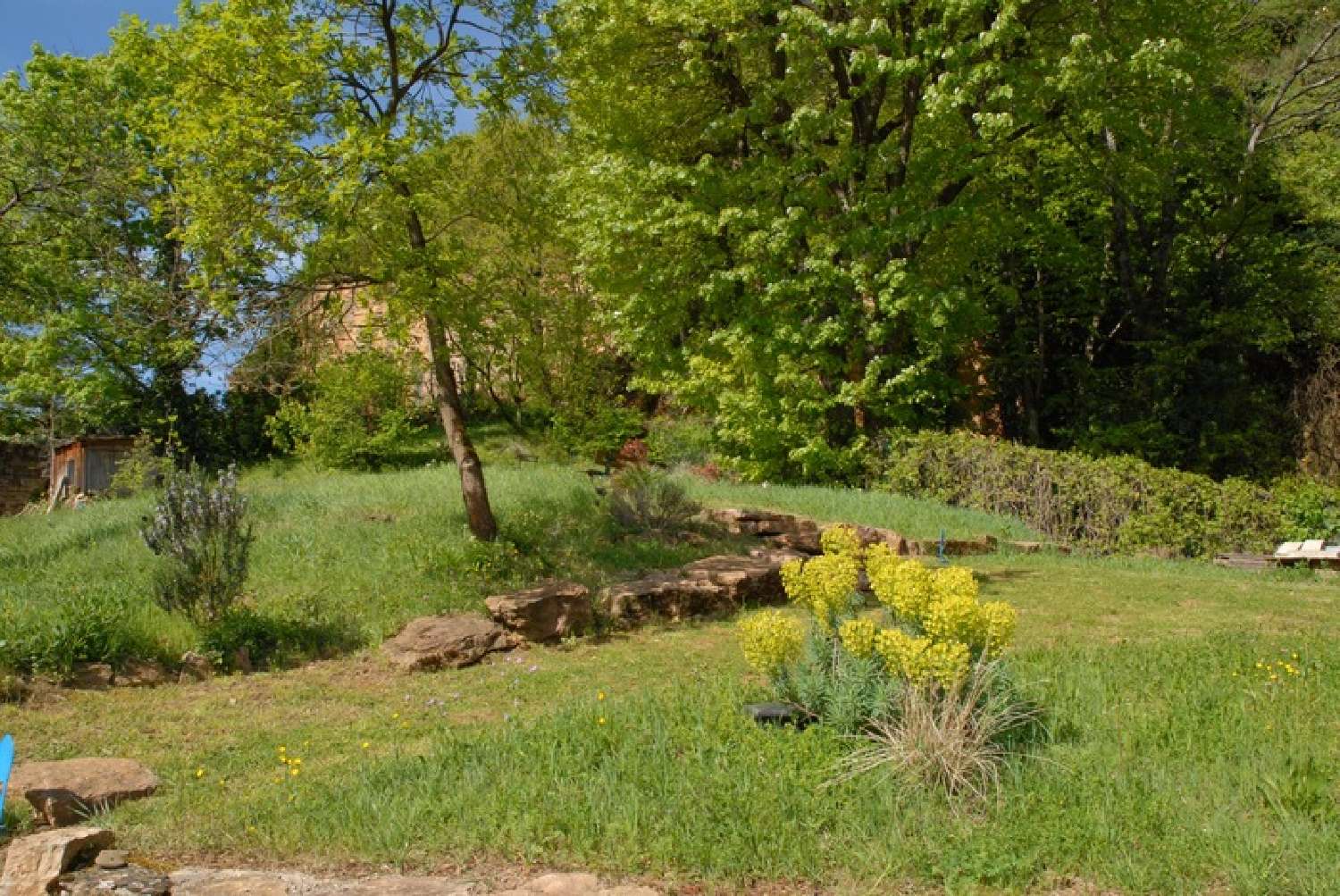  à vendre maison Fleurieu-sur-Saône Rhône 1