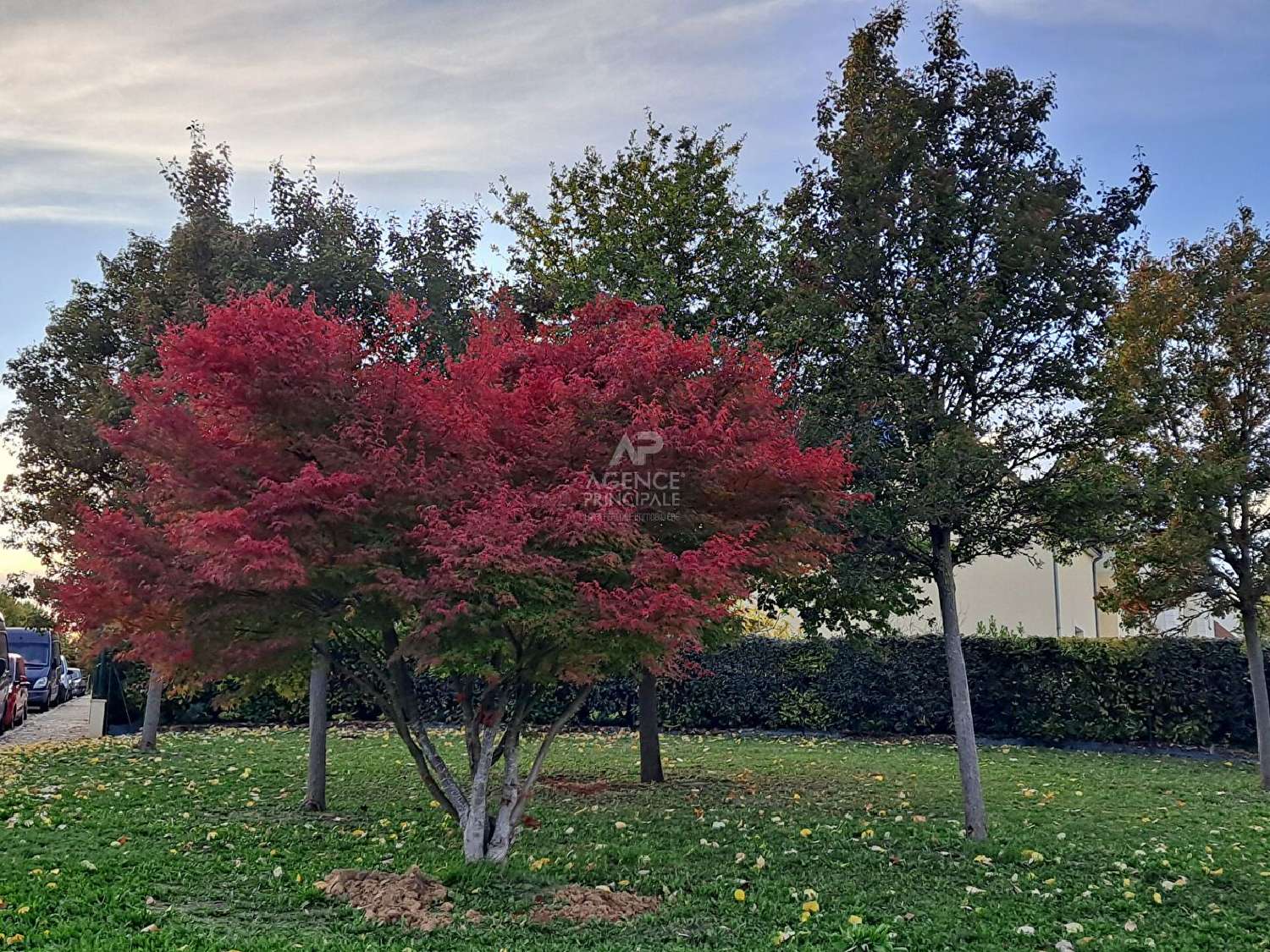  à vendre maison Fourqueux Yvelines 1