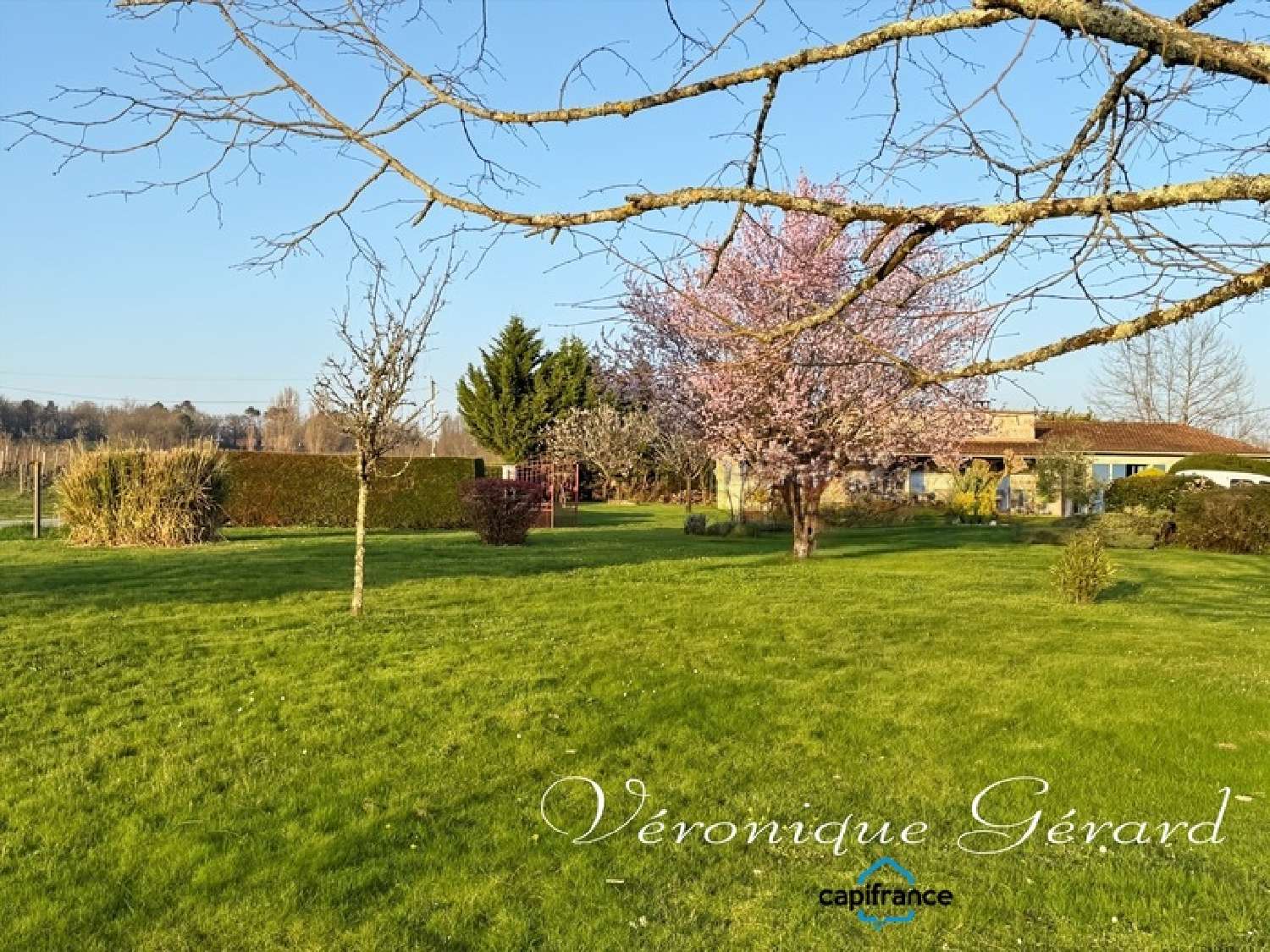  kaufen Haus Francs Gironde 5