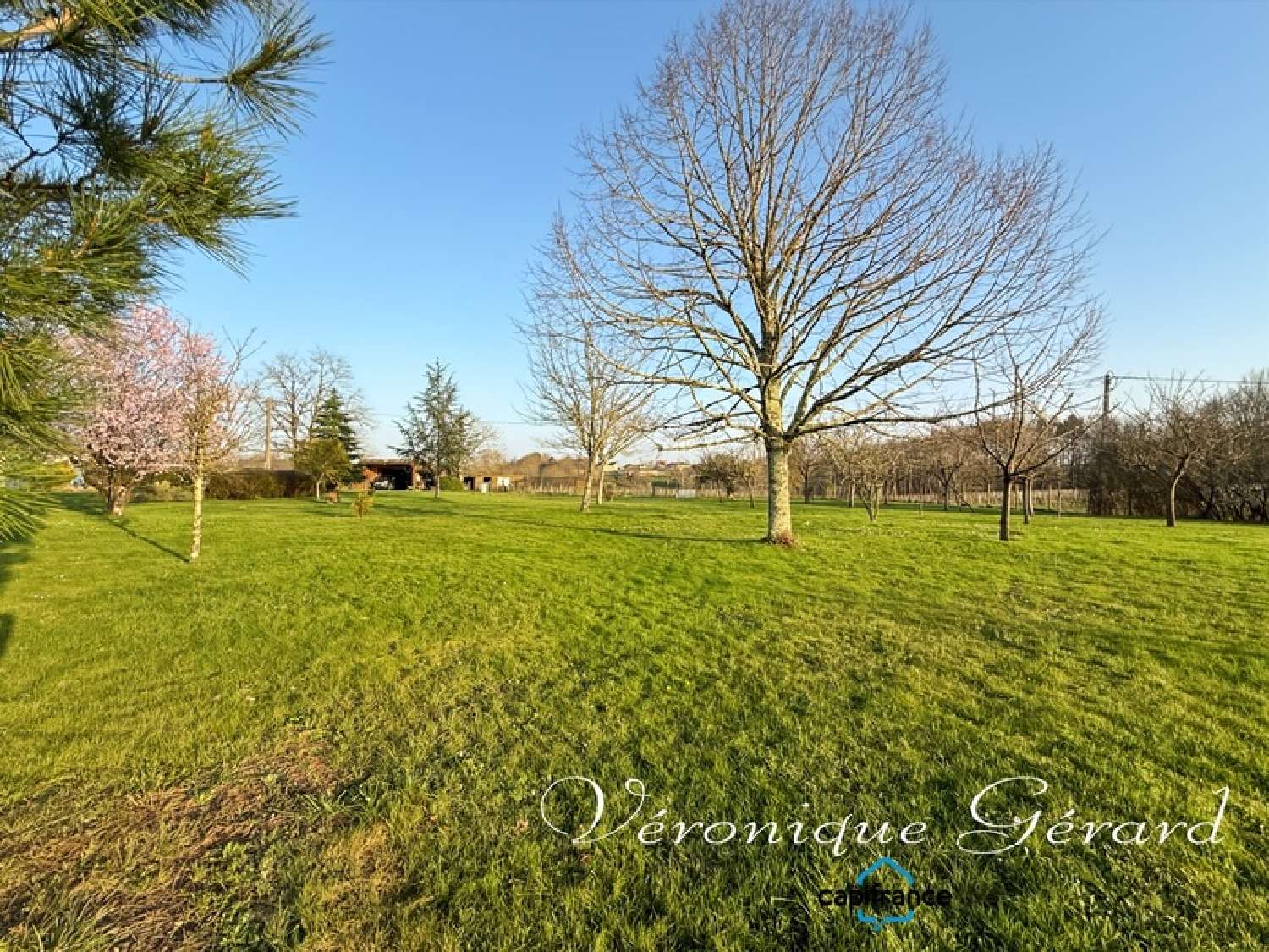  kaufen Haus Francs Gironde 7