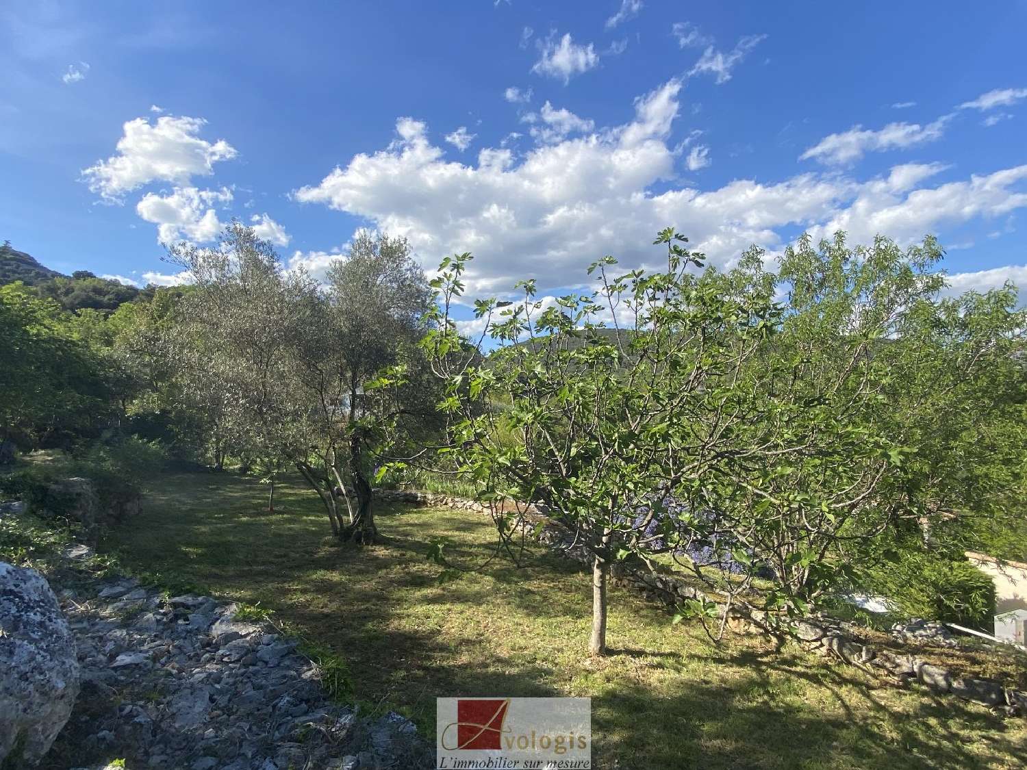  kaufen Haus Ganges Hérault 8