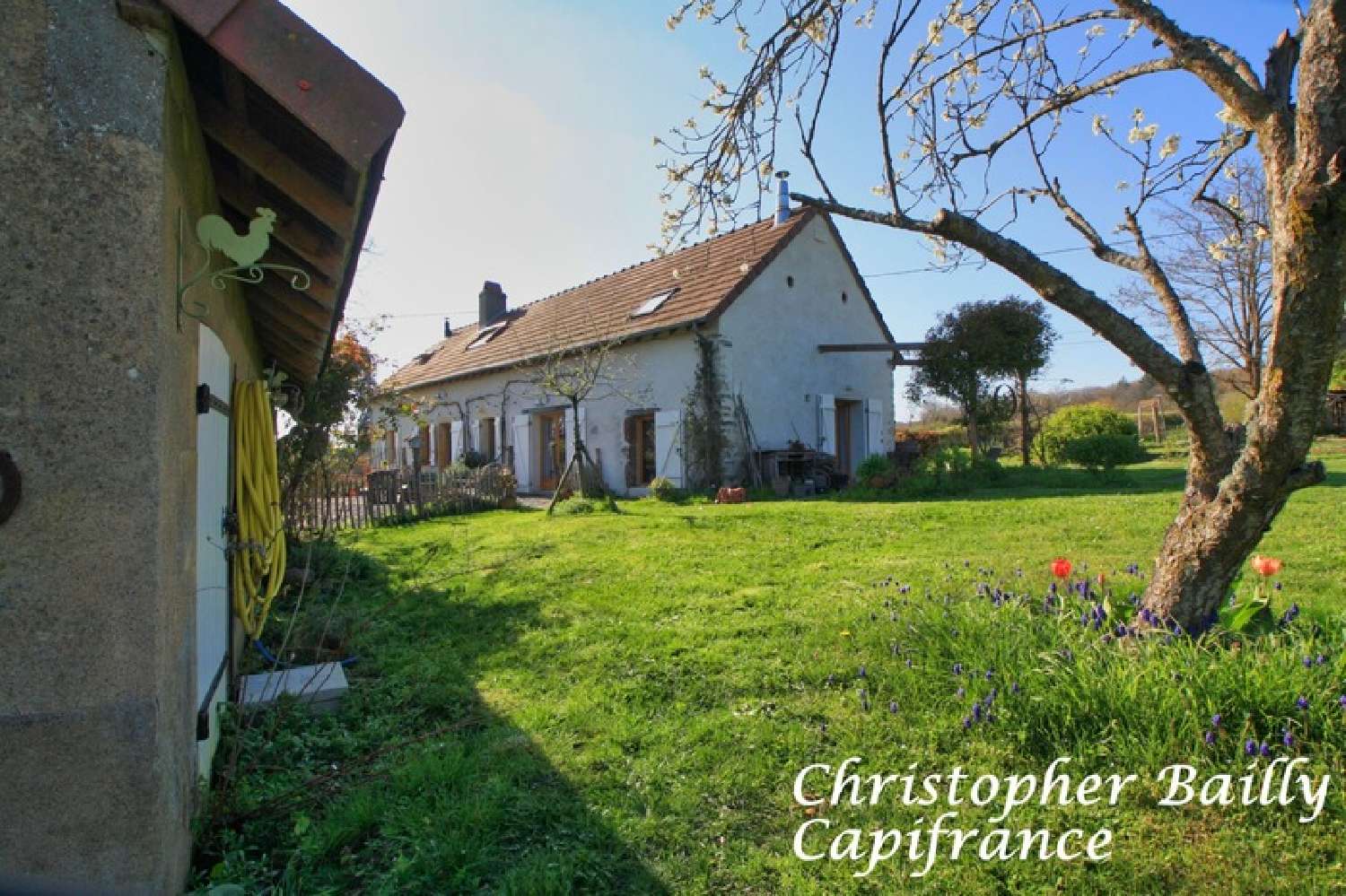  for sale house Gilly-sur-Loire Saône-et-Loire 7