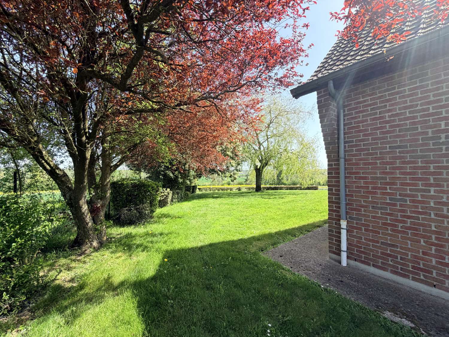  kaufen Haus Grand-Verly Aisne 2