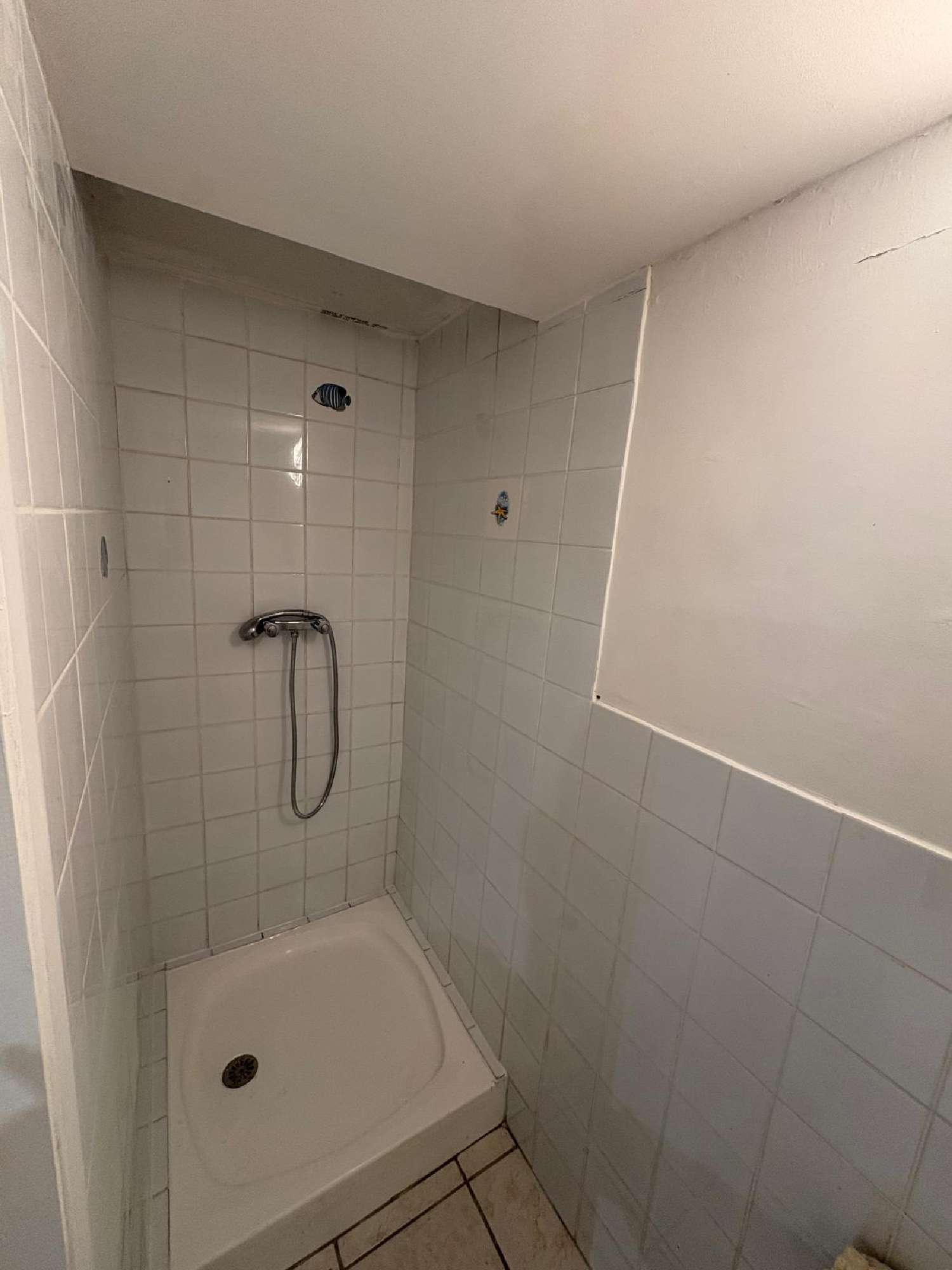 te koop huis Grenoble Isère 8