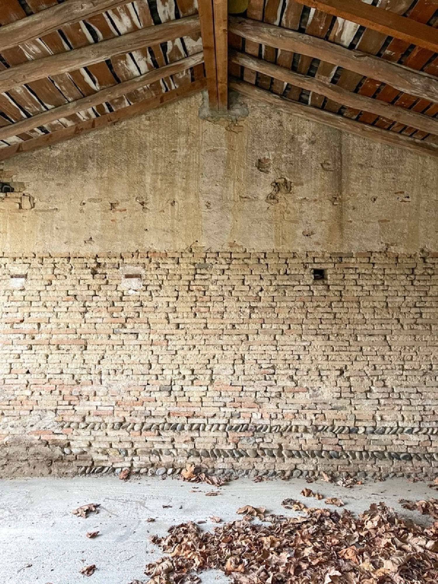 kaufen Haus Grisolles Tarn-et-Garonne 7