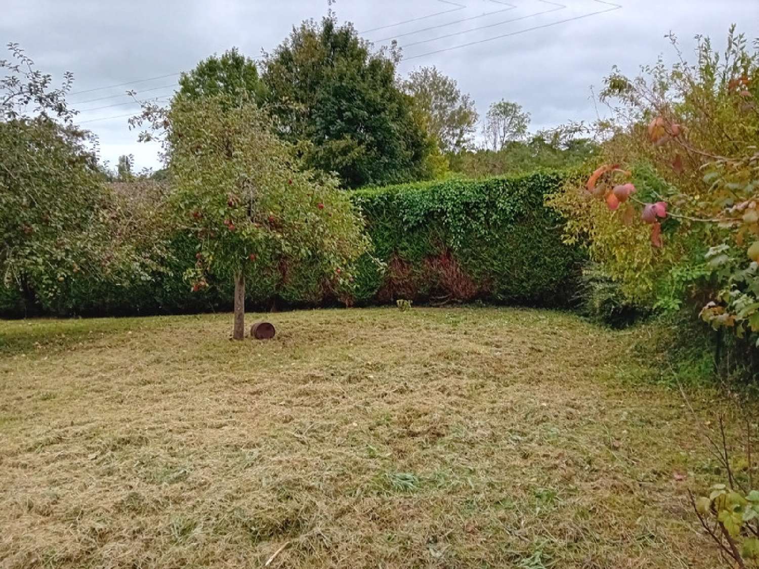  for sale house Grisy-les-Plâtres Val-d'Oise 4