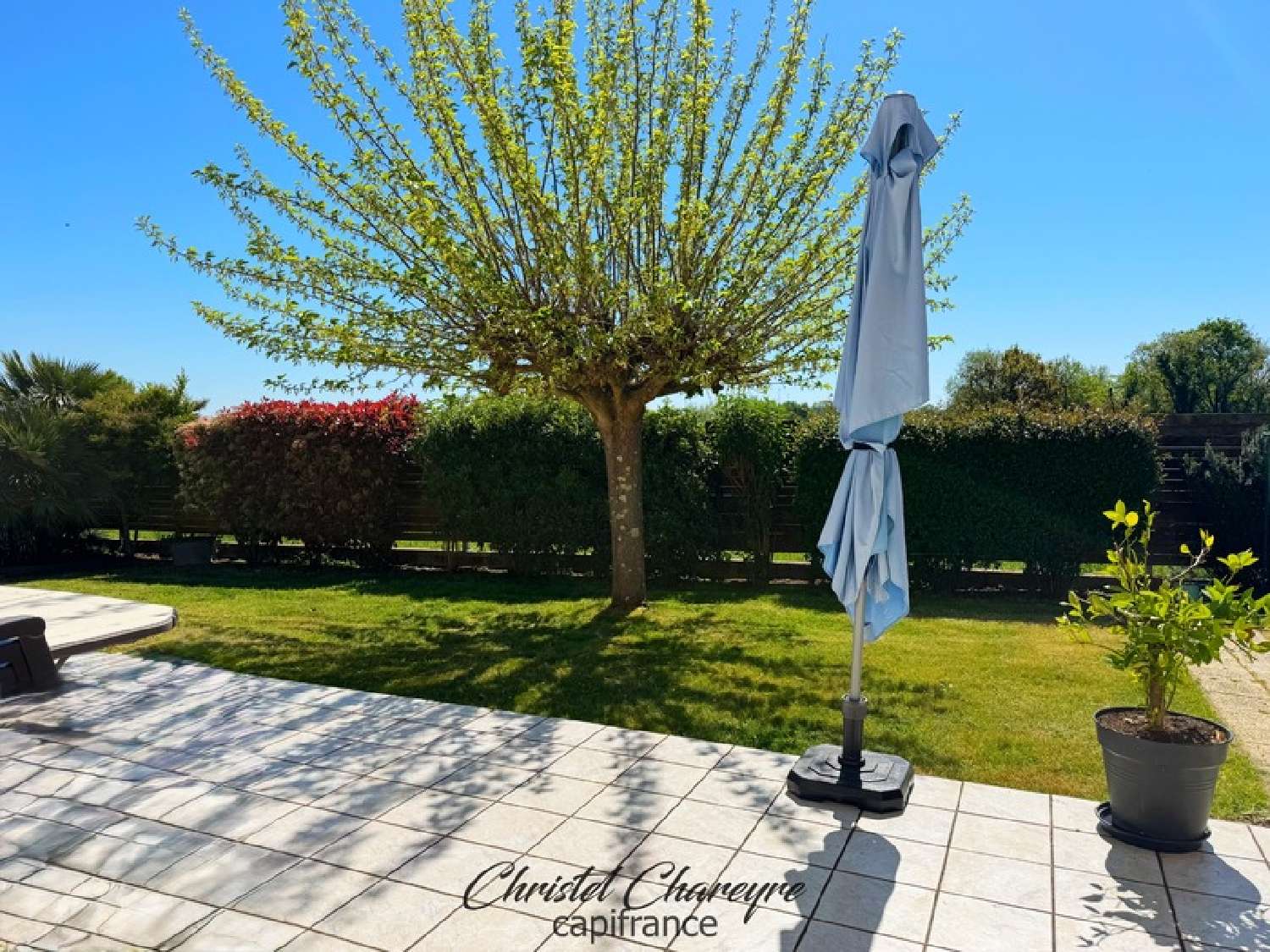  à vendre maison Grosbreuil Vendée 4