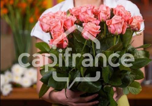 Guingamp Côtes-d'Armor house foto 7315567