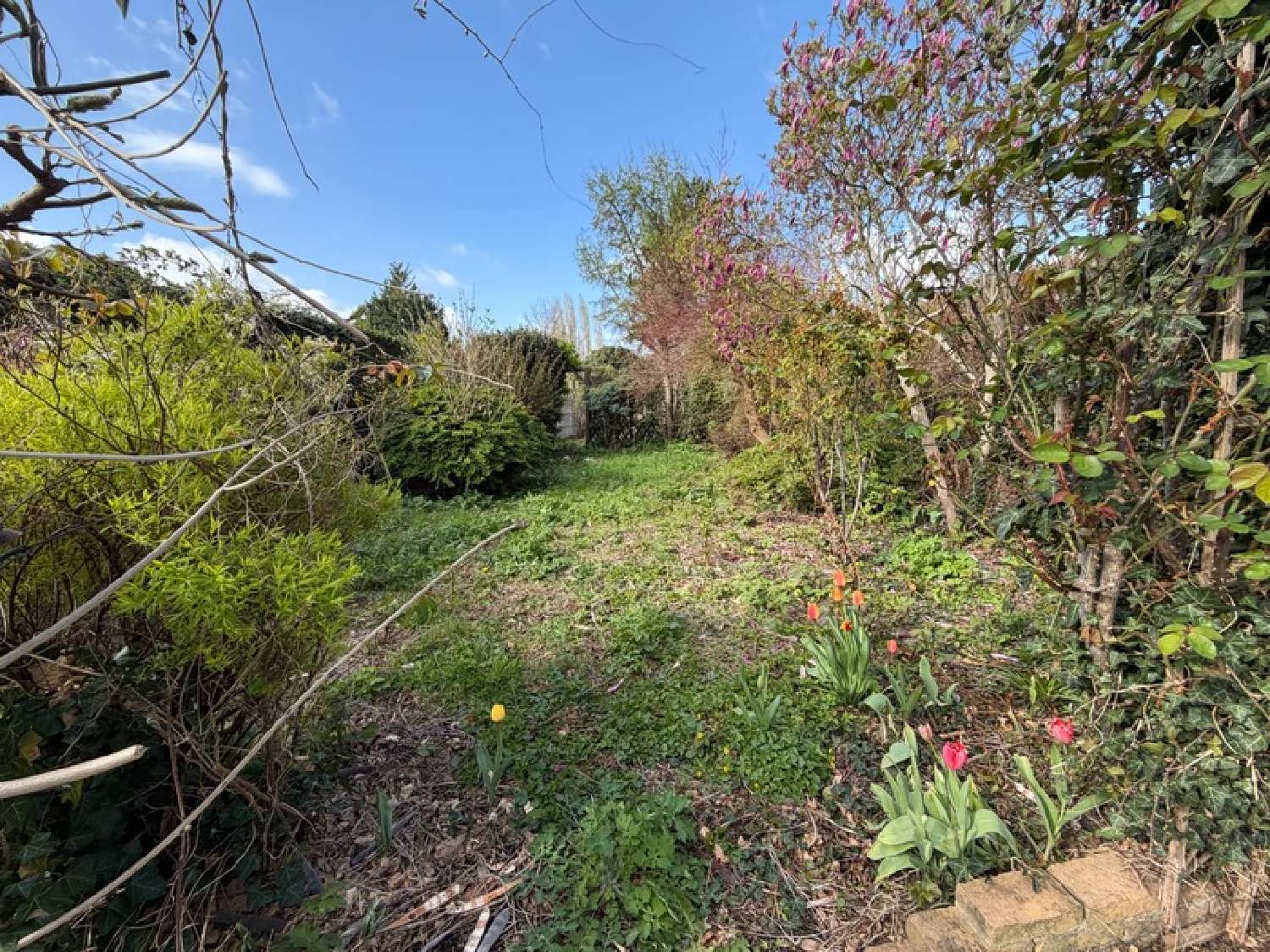  for sale house Hénin-Beaumont Pas-de-Calais 5